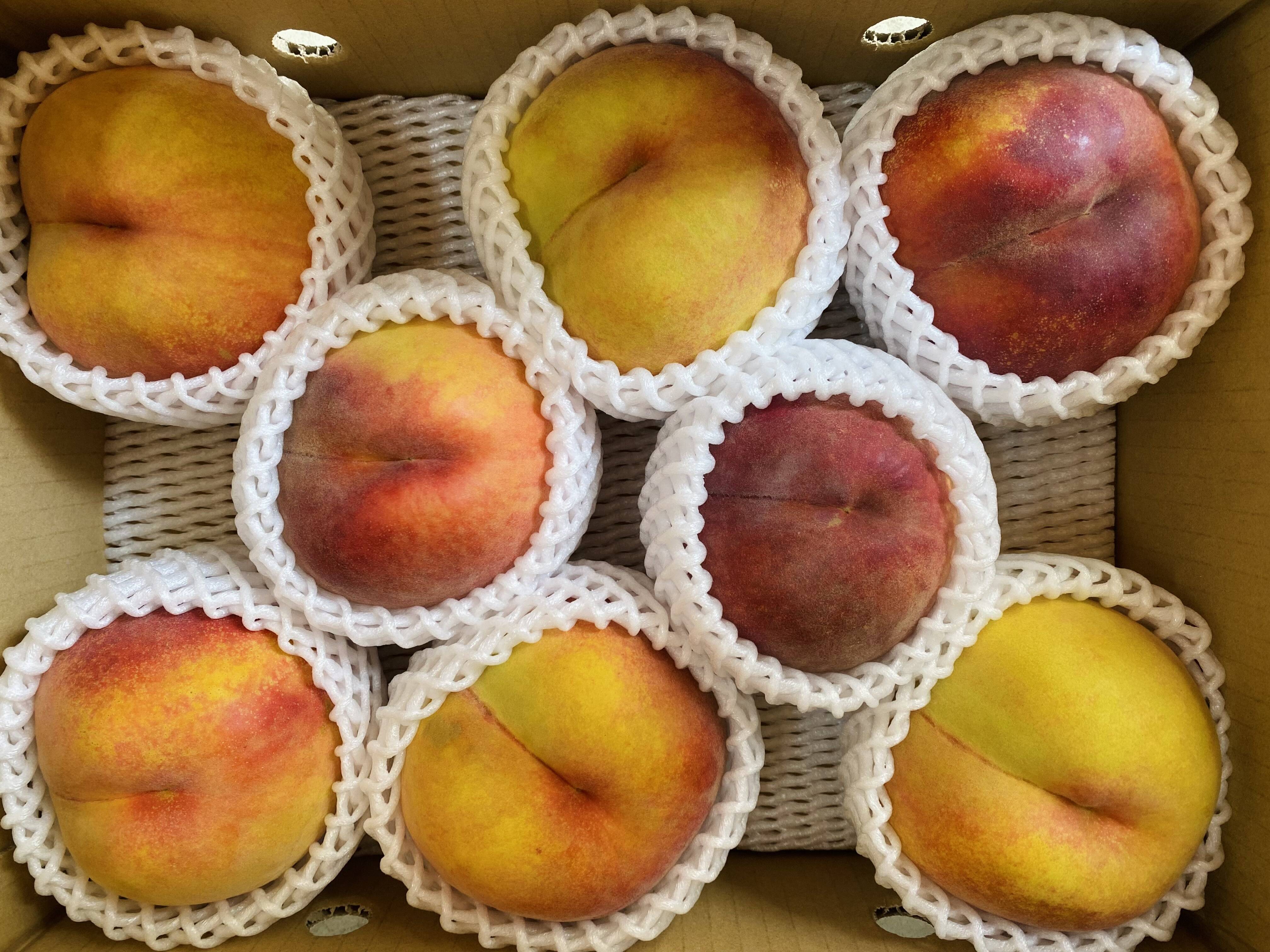 晩夏のギフトに！】果汁たっぷり！関農園の桃『黄金桃』3kg（6