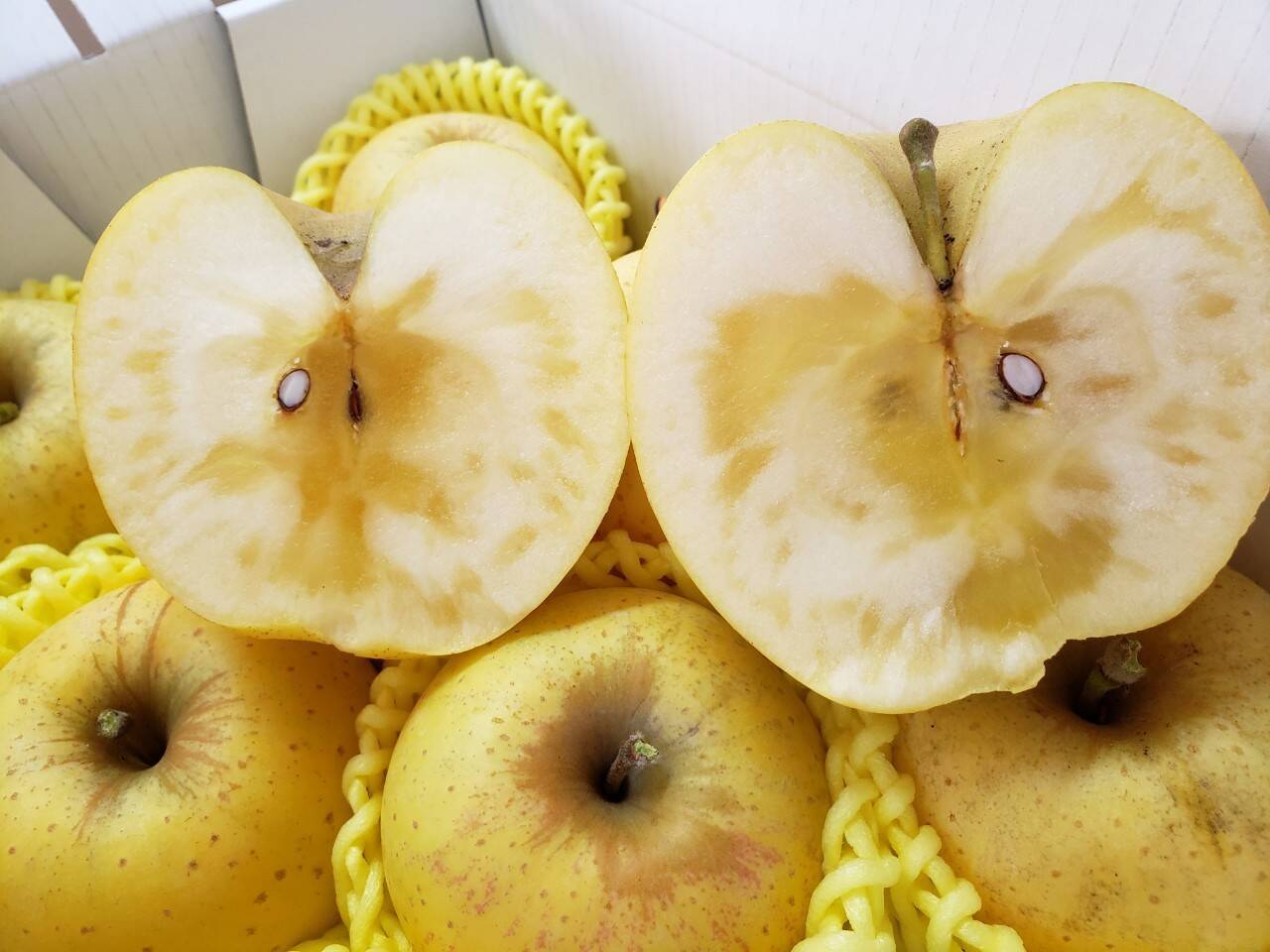 りんごまる。 まるせい果樹園のりんご はるか 2k 贈答用 自家用 家庭用 rh3：福島県