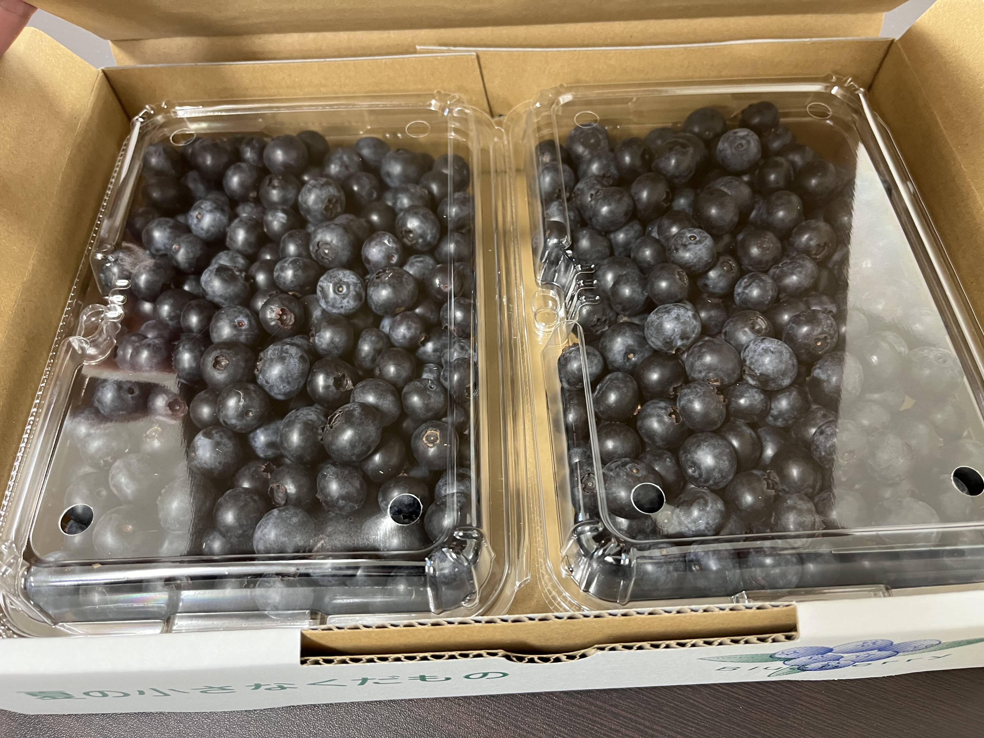 冷凍ブルーベリー　農薬不使用　1.8kg