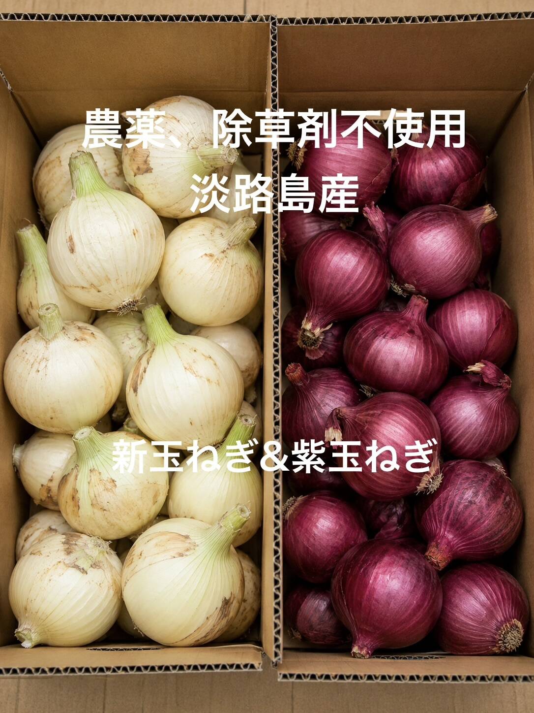 農薬、除草剤不使用！【数量限定】淡路島新玉ねぎ1.5kg 紫玉ねぎ1.5kg