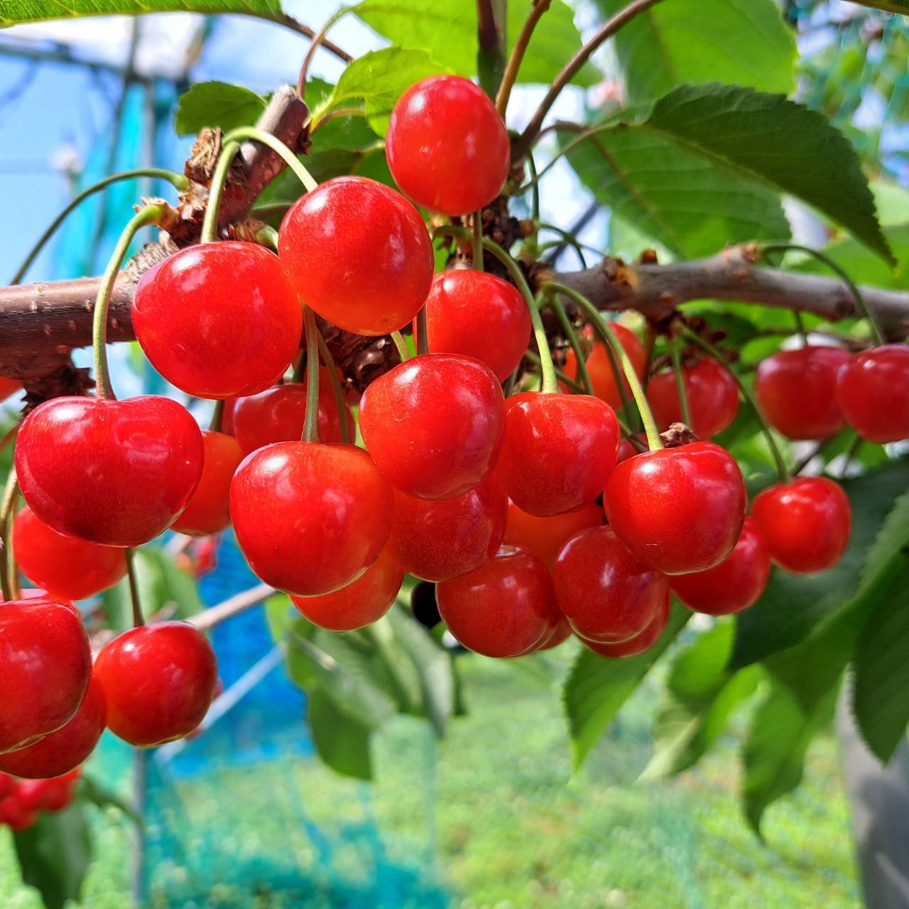 9d192466f97ceae78793687b8657c2