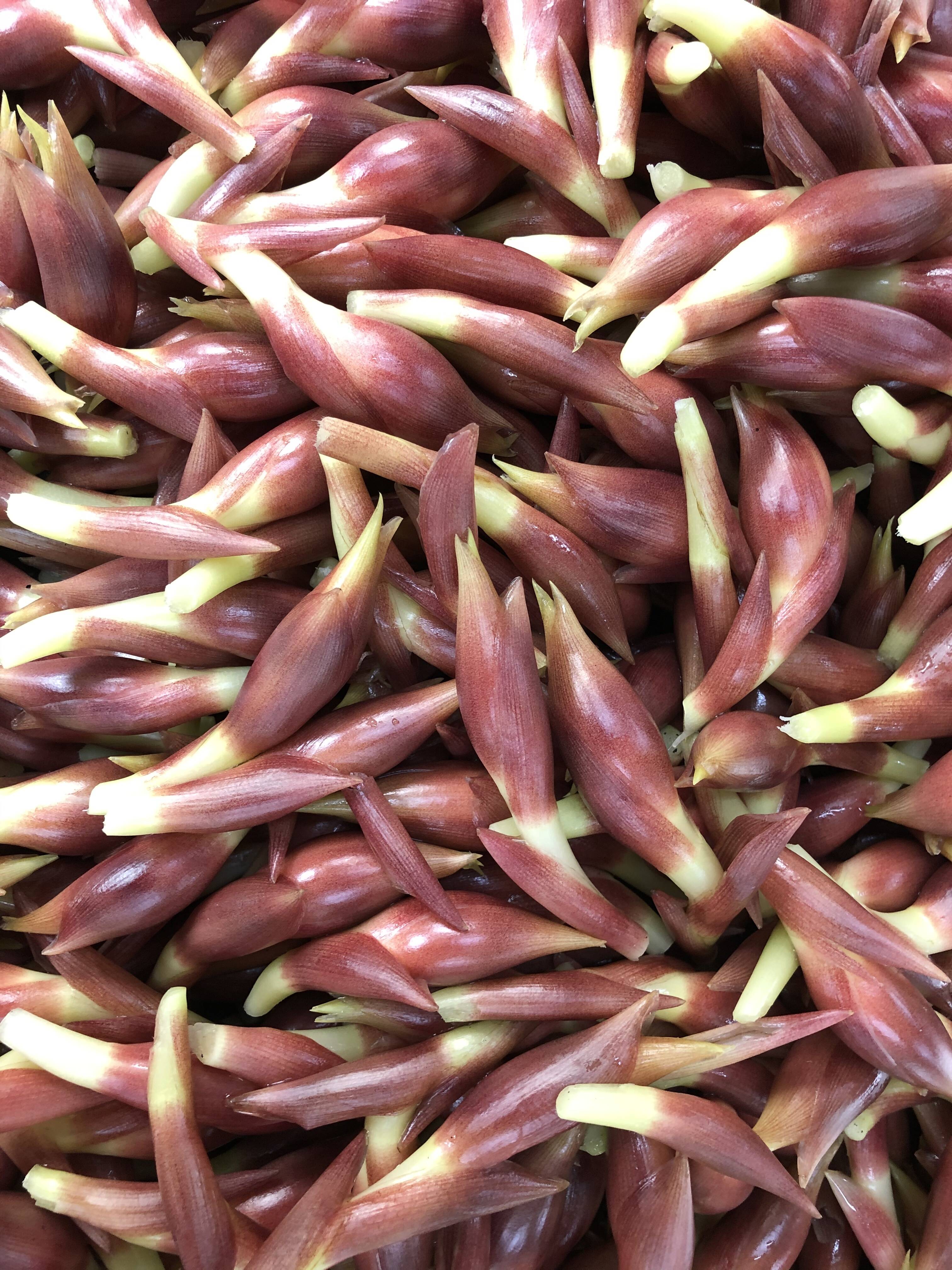 Yamasaki Farmへのレビュー・商品：高知県｜食べチョク｜産地
