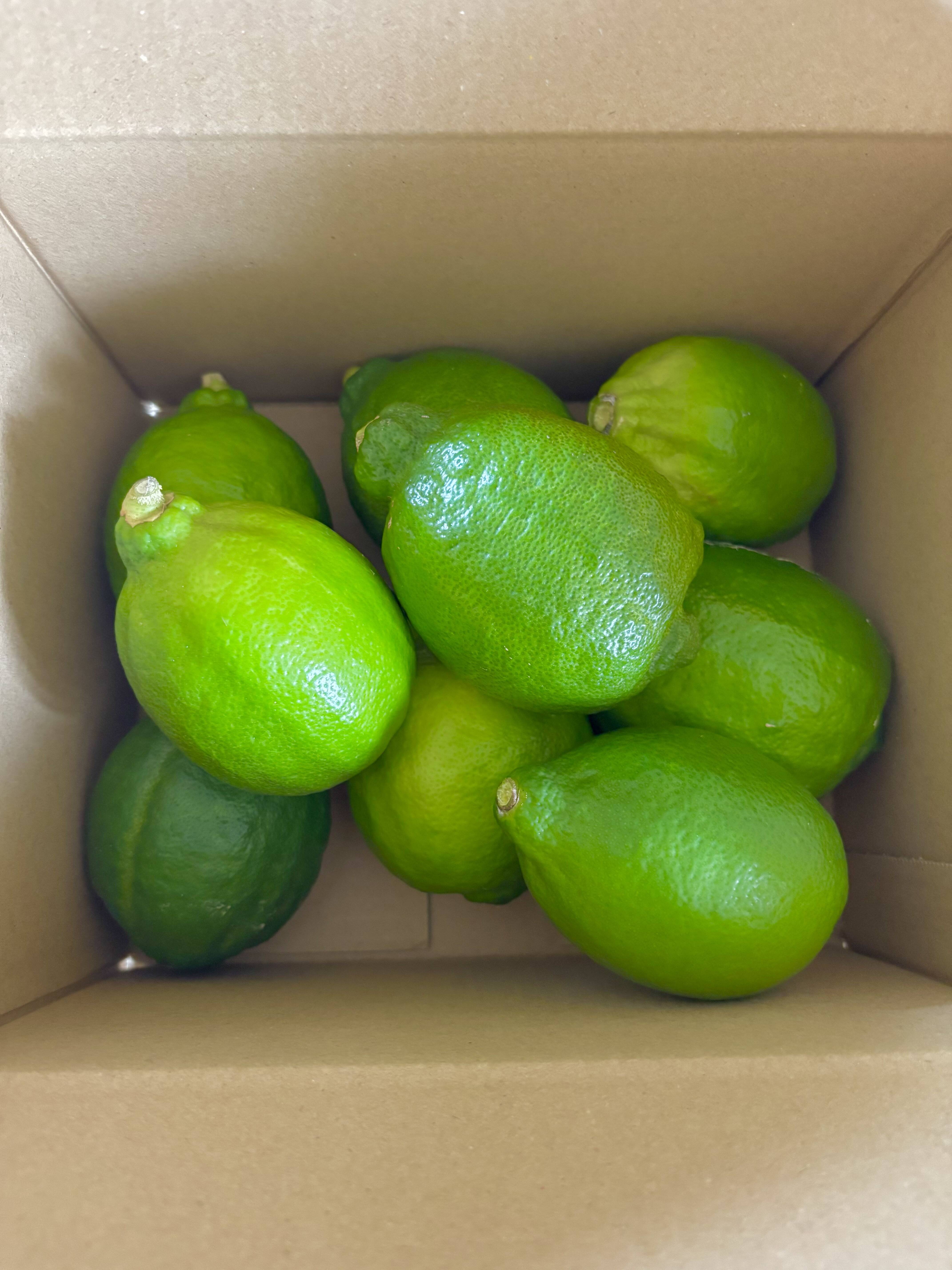 淡路島産】今だけ！璃の香グリーンレモン🍋 爽やかな香り・ジューシー