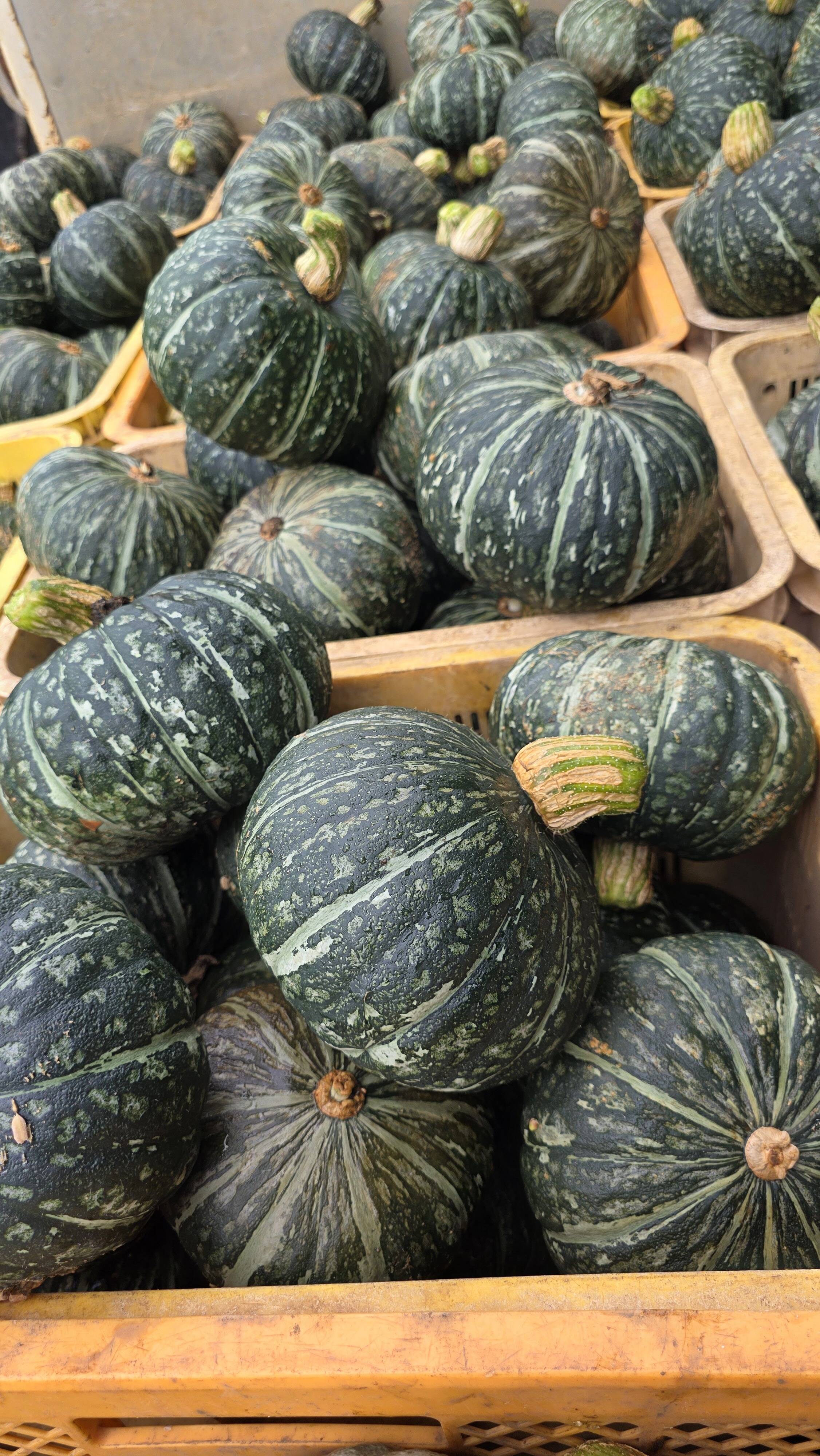 三浦産みやこかぼちゃ4個入り：神奈川県産の野菜｜食べチョク｜産地