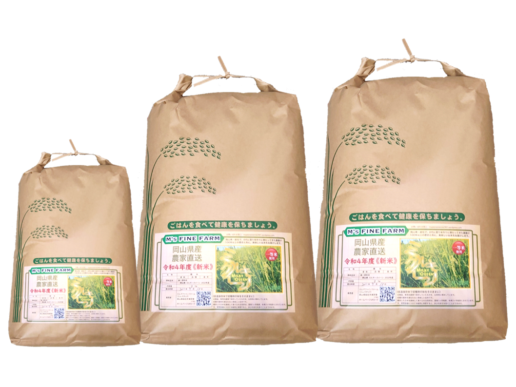 sepia 77　ミルキークイーン精米 ミルキークイーン 米 お米 5kg×2 玄米10kg 令和6年産 山形産
