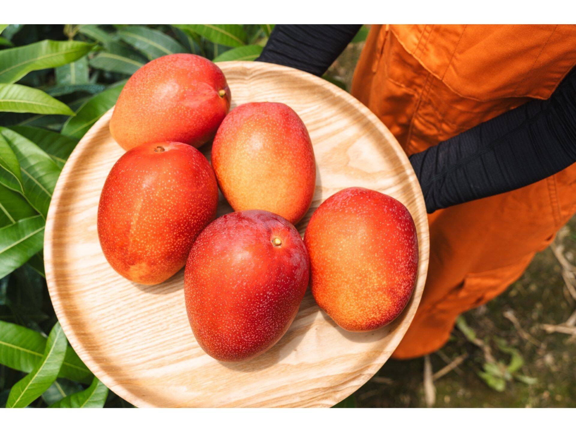 9e10e3c87cd4a1bb7df87a32b5ff1a