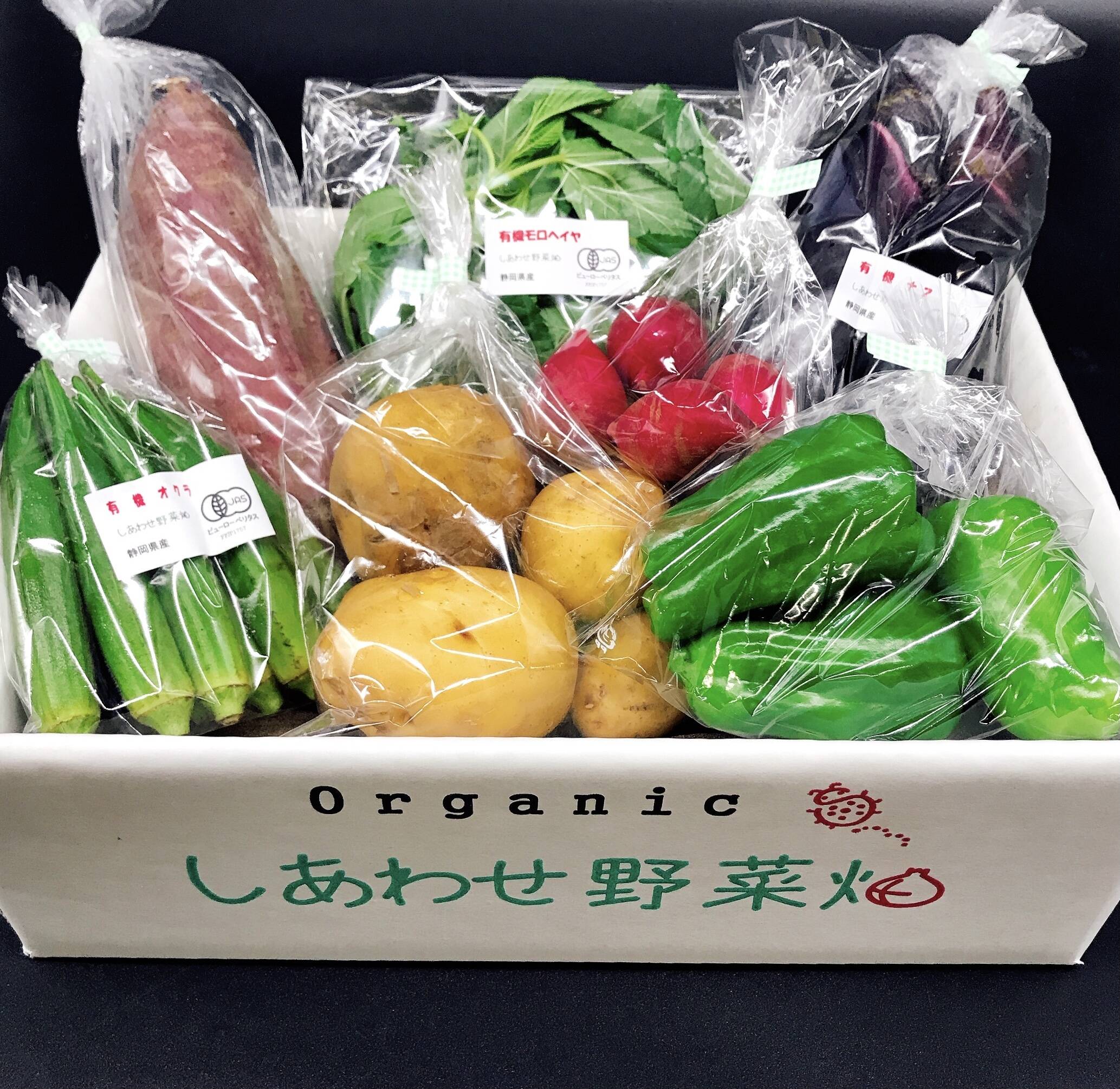 お野菜です。 みずみずしい 10種野菜のオニオンサラダ 310g | ヤオコーの商品