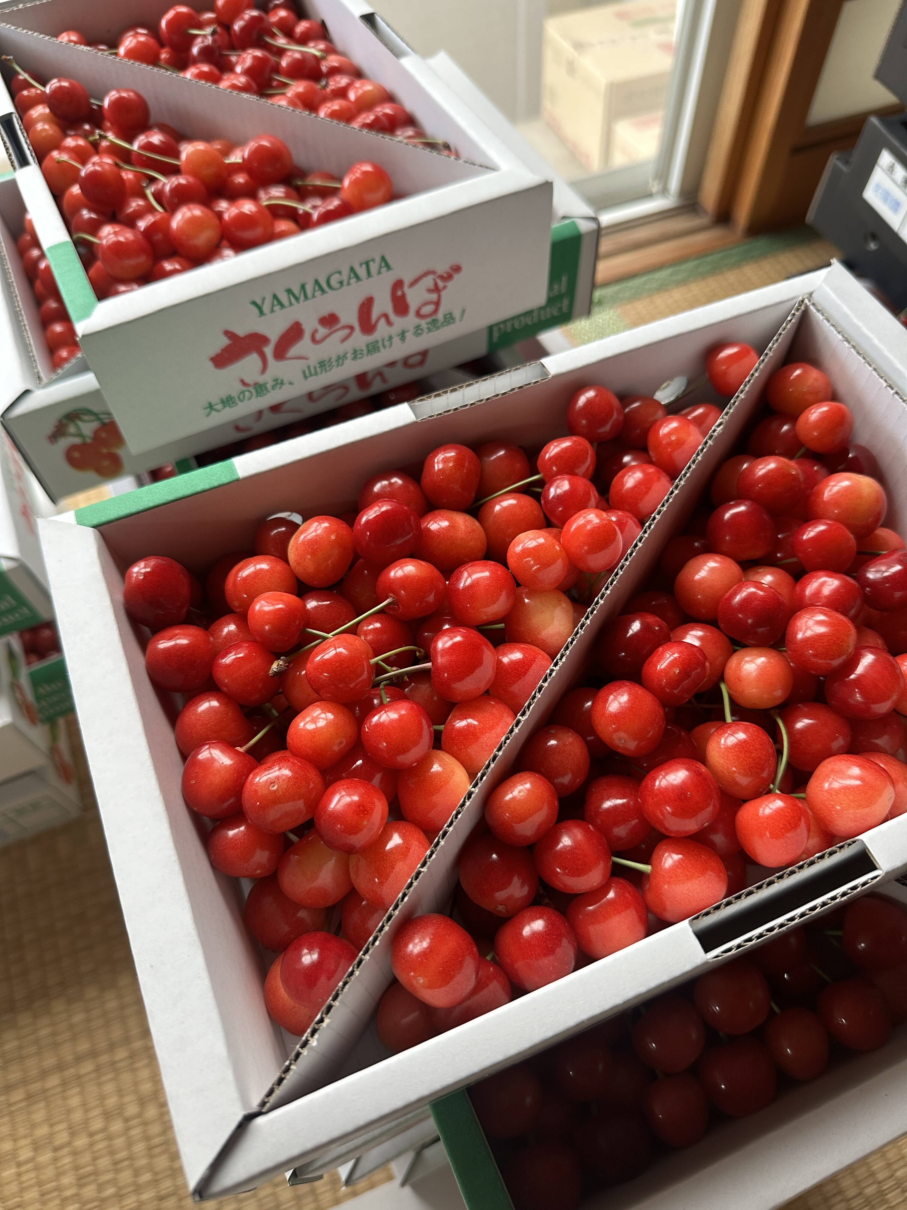 紅さやか 】さくらんぼ 山形県天童産 1kg バラ詰 加工•生食用【 5月30
