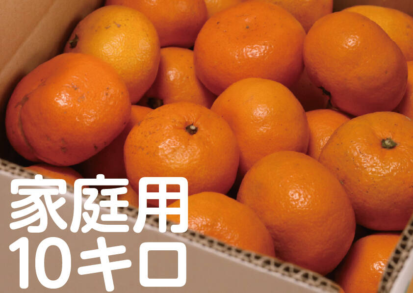 寒い冬にどうぞ】今が一番おいしい中生みかん（家庭用）10kg｜勝浦町産