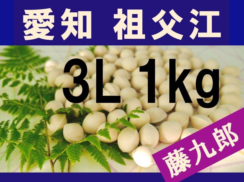 2022年新物！ 愛知県 祖父江産 藤九郎銀杏 ぎんなん 3L 1kg ☆秋の味覚☆：愛知県産の野菜｜食べチョク｜産地直送(産直)お取り寄せ通販 -  農家・漁師から旬の食材を直送