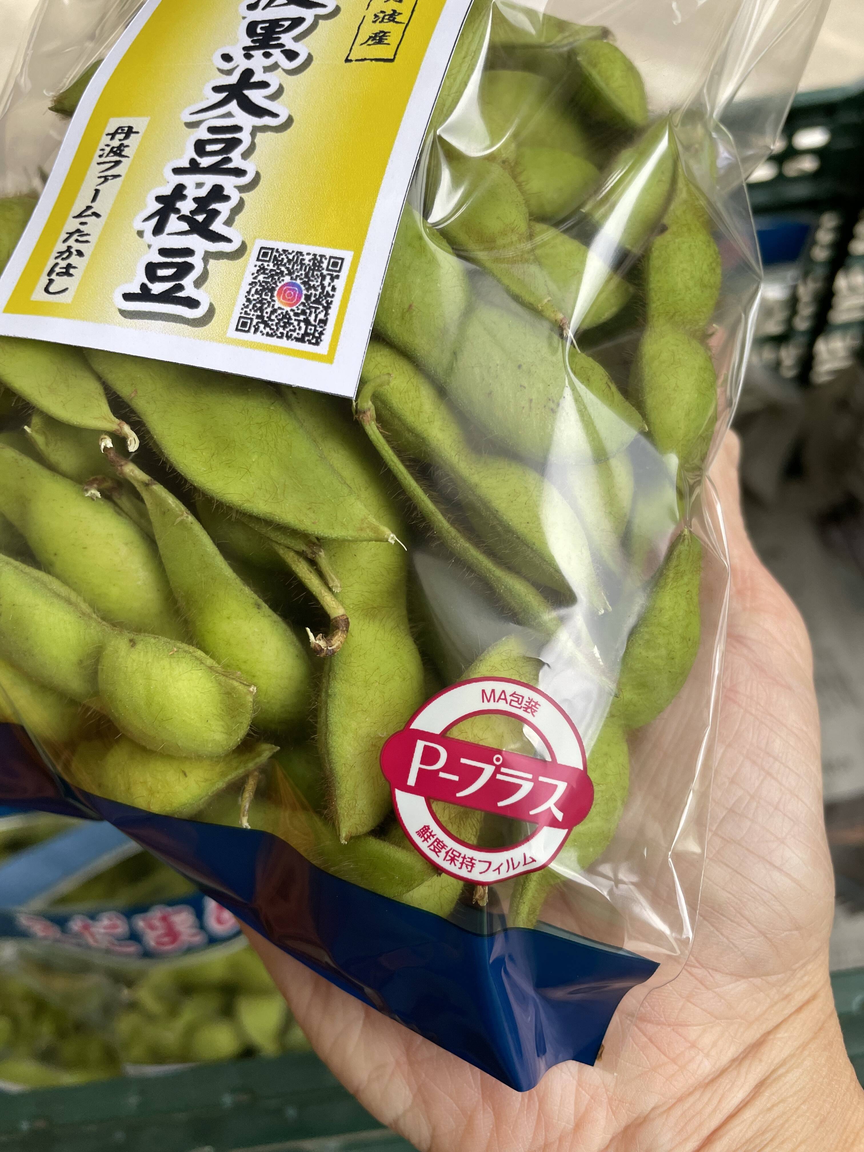 🧊クール便対応‼️» お届けまで2日かかる地域はこれで安心◎兵庫県丹波