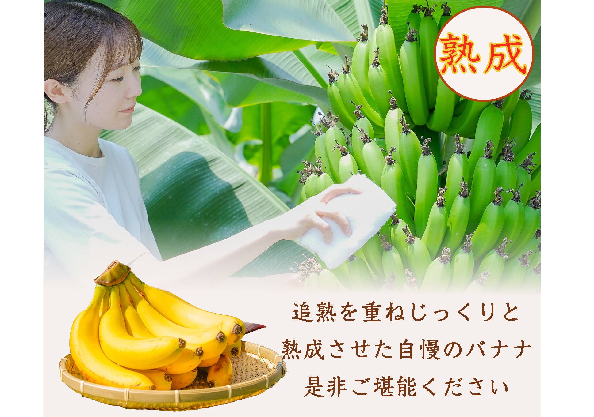 ご家庭用】皮まで食べれる！農薬不使用、栃木県益子町産バナナ(2kg 