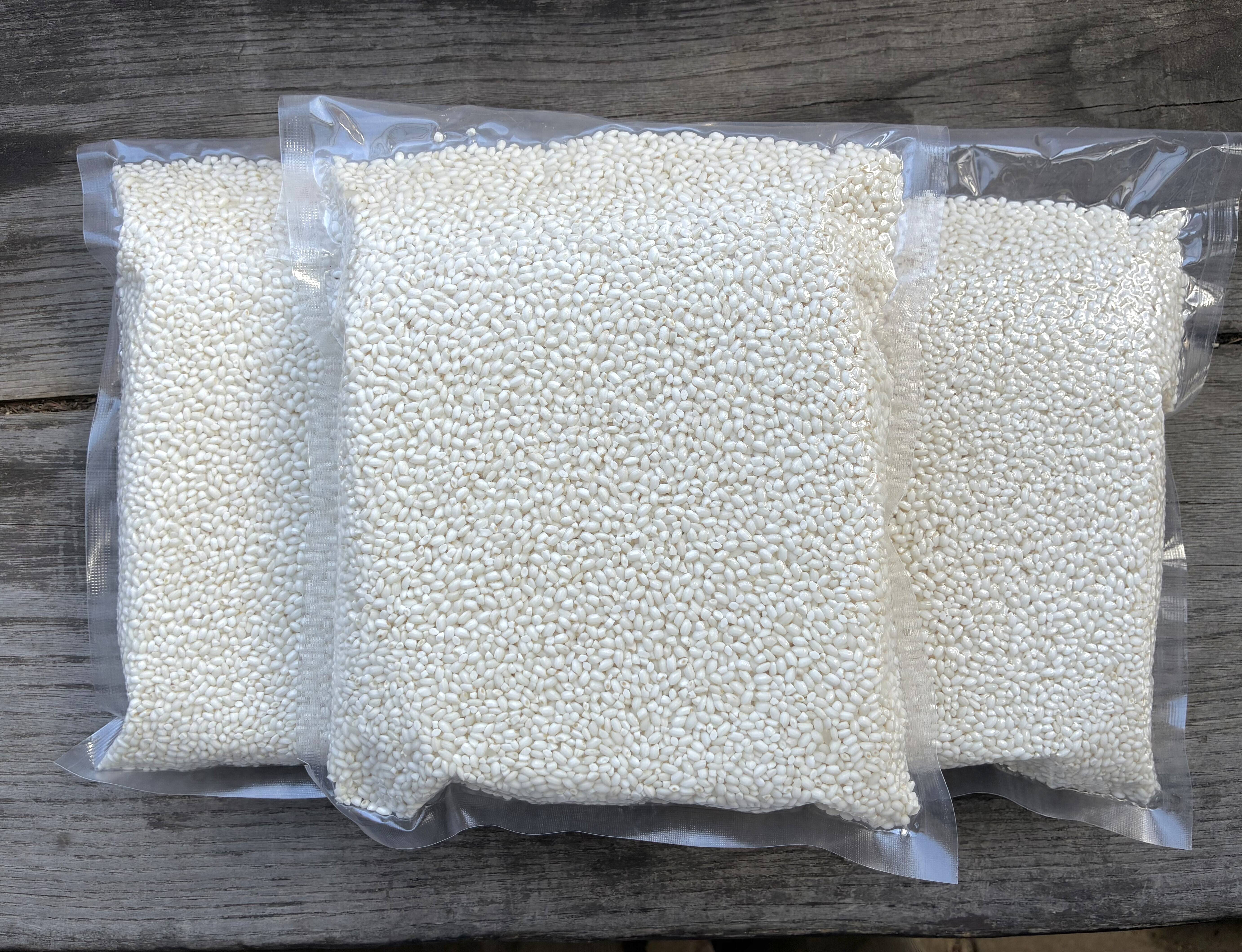 もち米白米・農薬化学肥料不使用『もちひかり』令和7年信州産 真空 もち米白米・農薬化学肥料不使用『もちひかり』令和7年信州産 真空