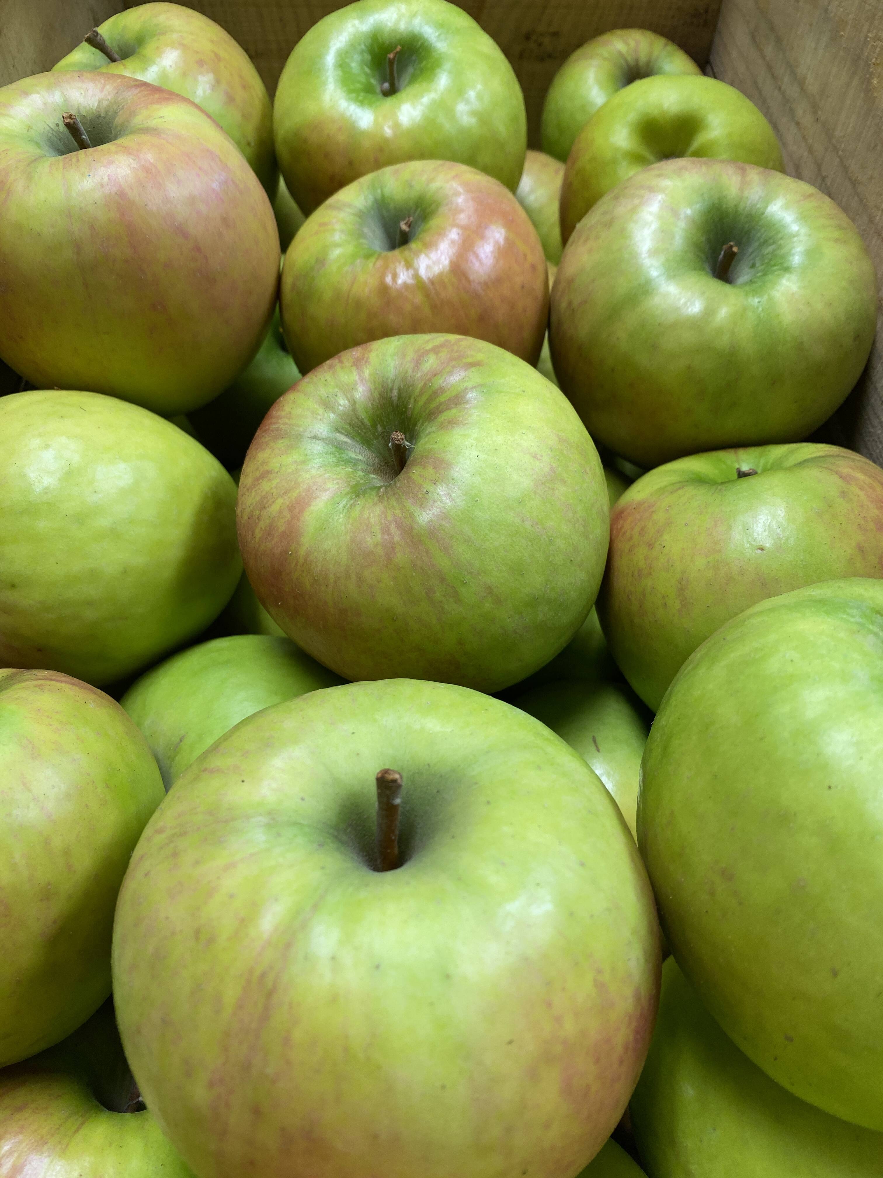 りんご りんごのおもちゃ／NO.52309017 | OTTOKE OTTOKE