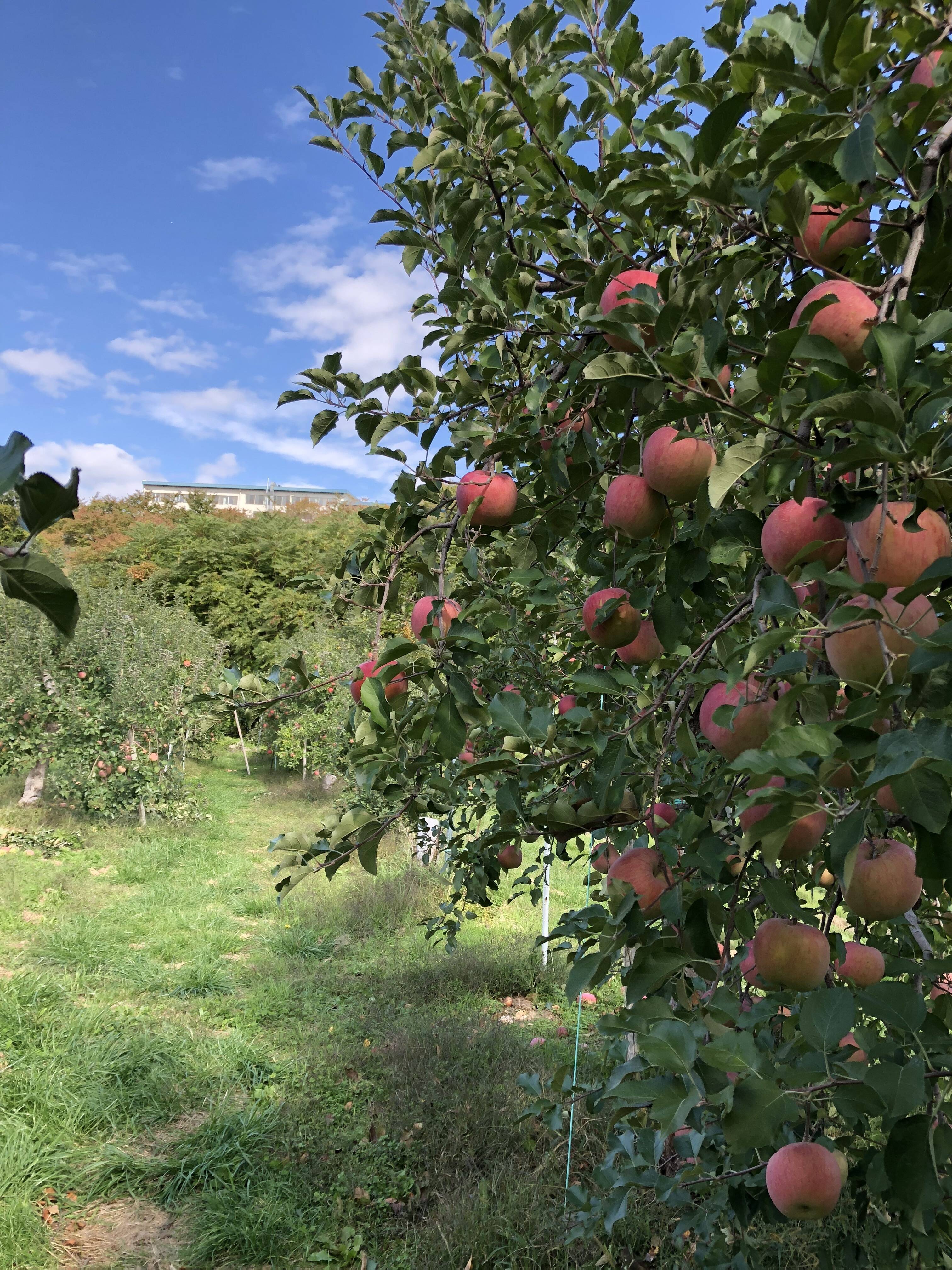 9ed12d586c23d9a911da5391e15721 9ed12d586c23d9a911da5391e15721