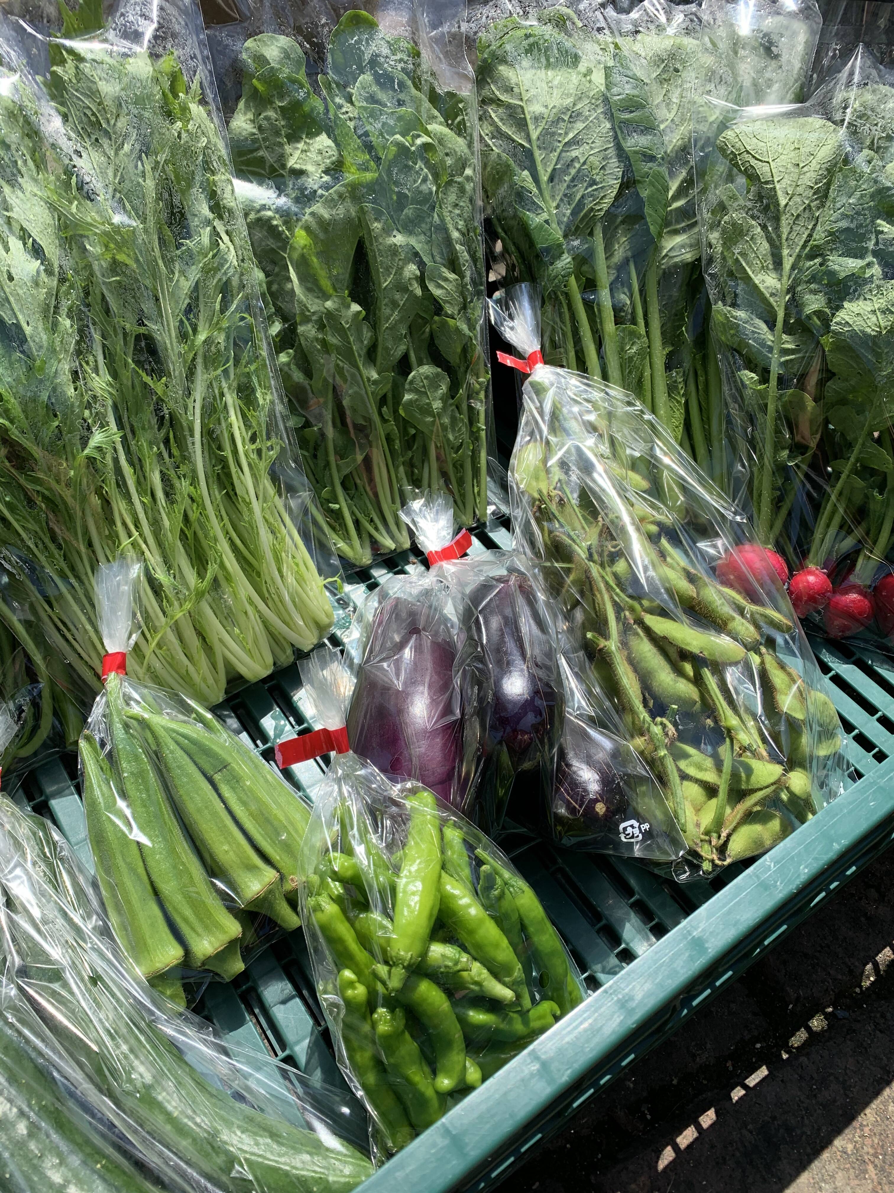 お試し！小さな農家、旬のお野菜セット 5品目＜農薬、化学肥料不