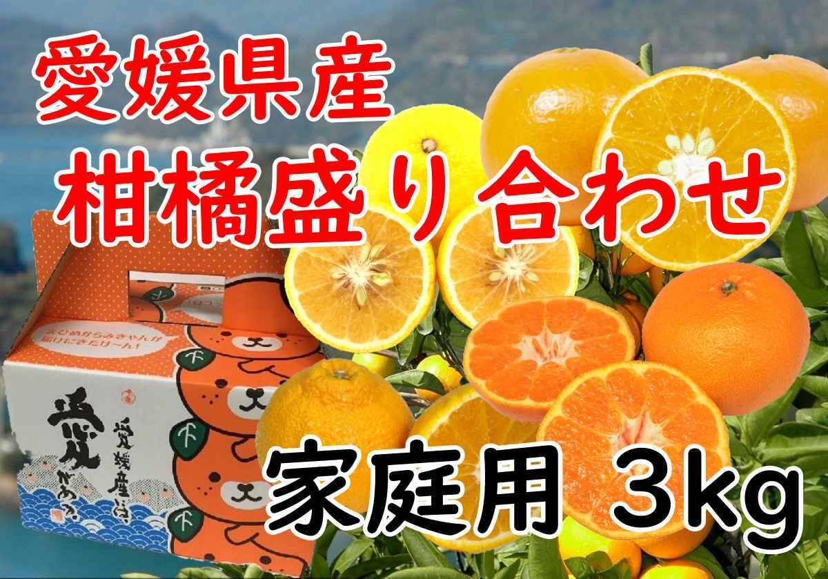 愛媛県産 柑橘 みかん 詰め合わせ セット 3kg