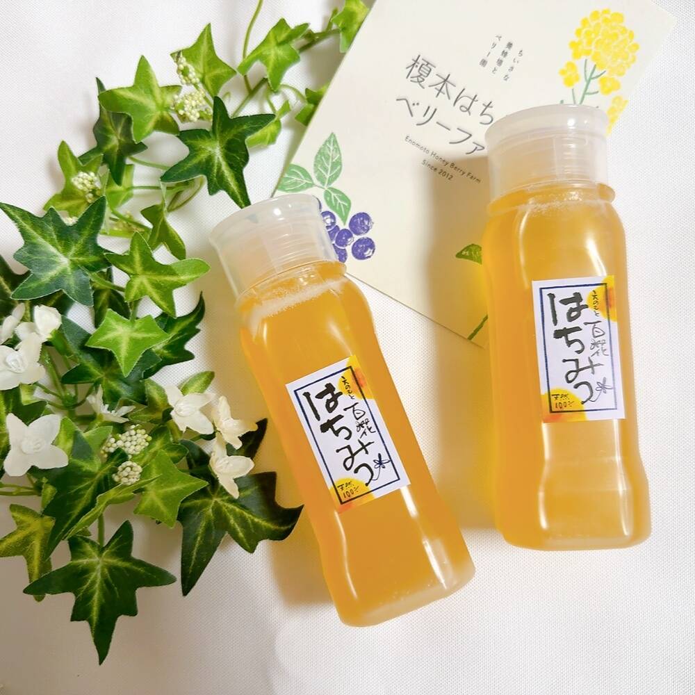 お得】国産純粋非加熱生はちみつ250g 液だれ防止倒立ボトル2本：愛知