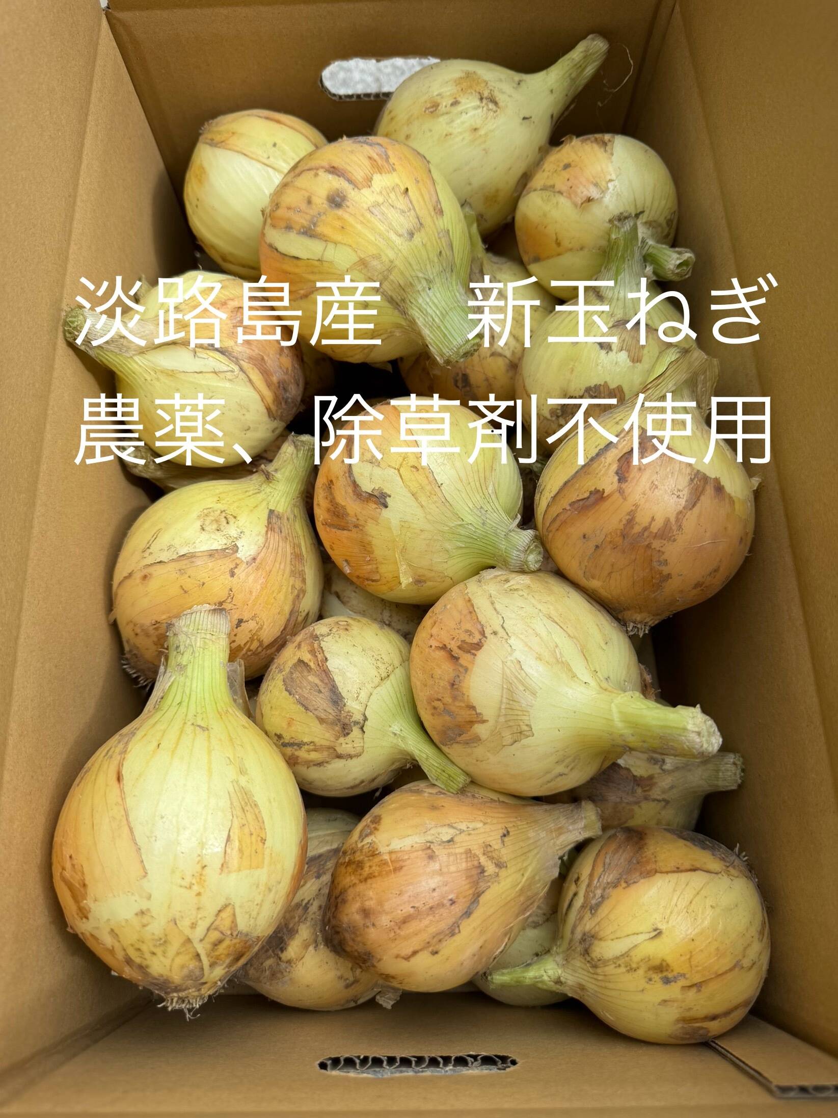農薬、除草剤不使用！淡路島 新玉ねぎ(七宝)2kg サラダにピッタリ。春