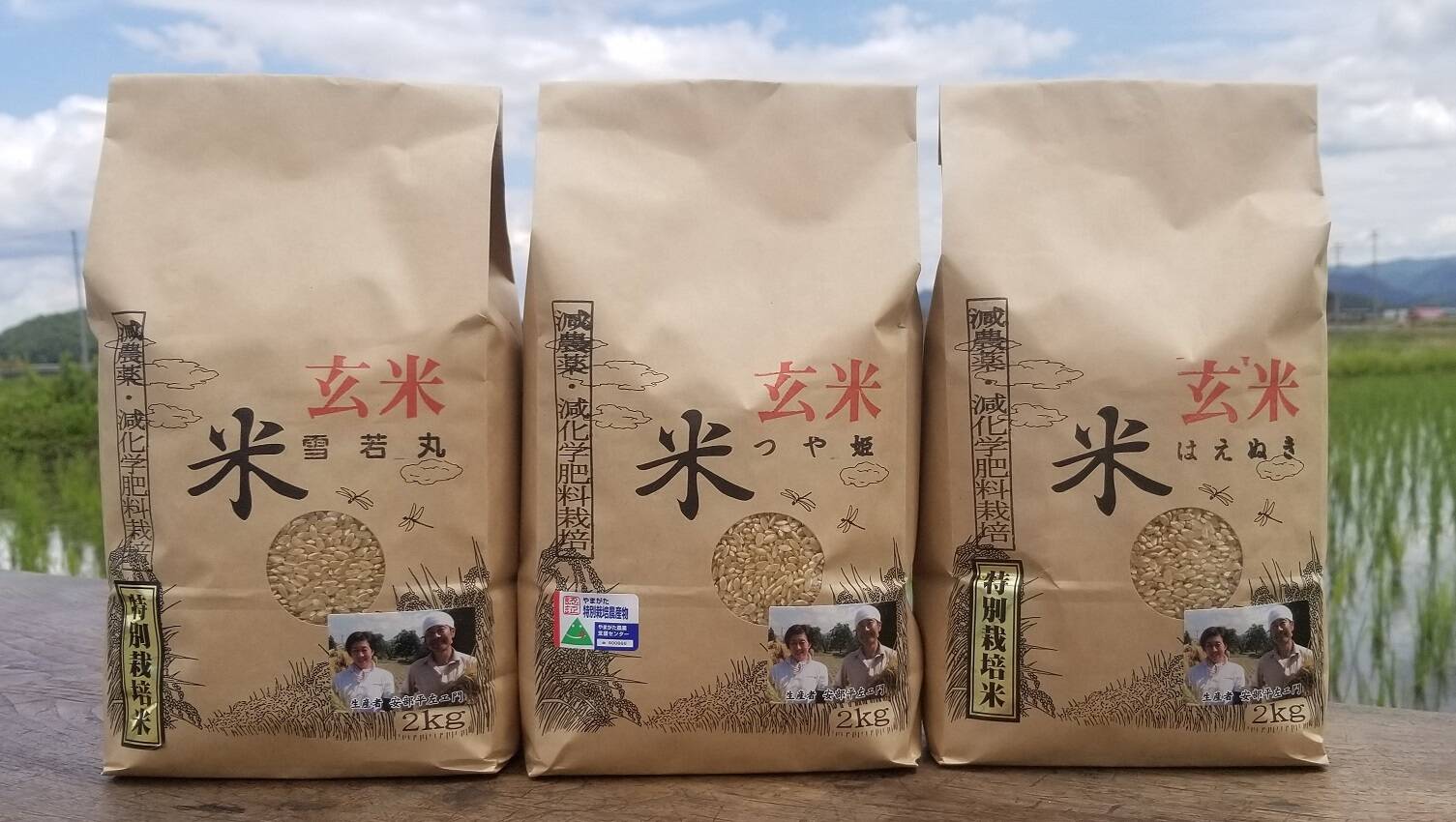 R6年  ササシグレ、ササニシキ　食べ比べセット20kg玄米
自然栽培米 楽天市場】新米 ササニシキ 米 2kg 送料無料 宮城県産 ささにしき 送料