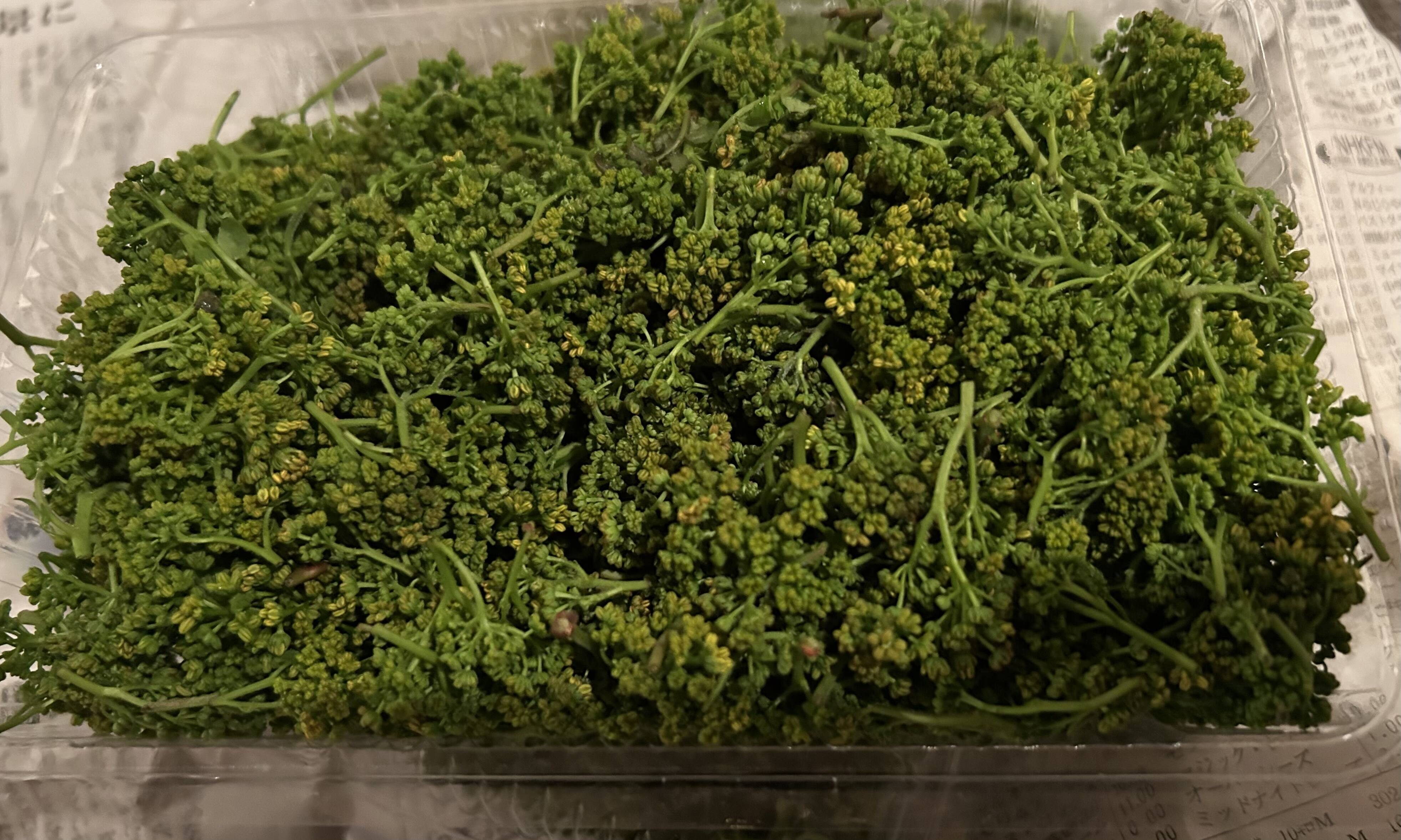 黄色系が混ざる花山椒100g （かやぶきの里・ 京都・美山産 栽培期間中