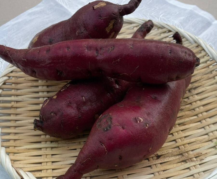 さつまいも 紅あずま 紅はるか シルクスィート３種食べ比べ：千葉県産