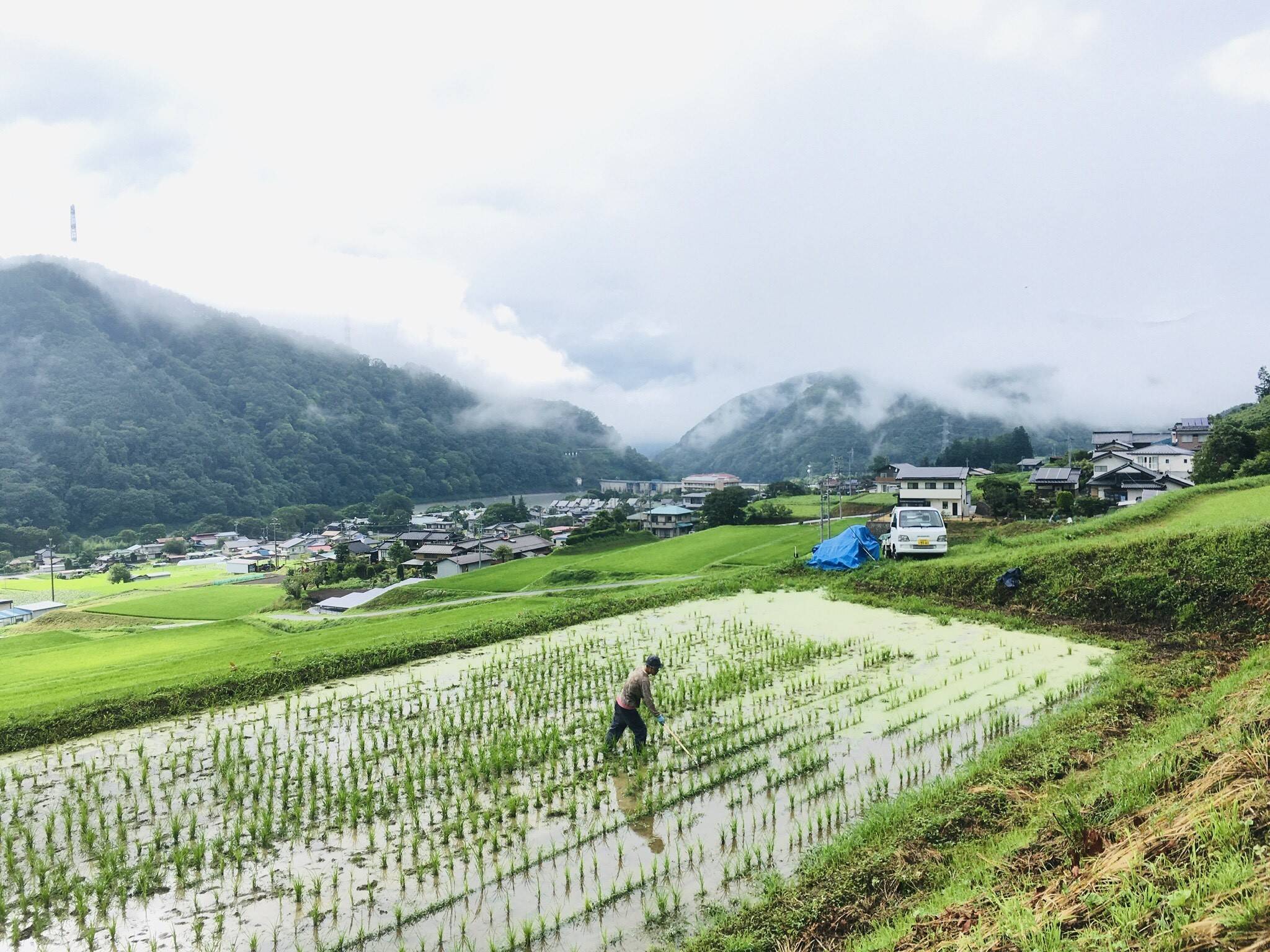 おかめひょっとこ農場の紹介 長野県 食べチョク 農家 漁師の産直ネット通販 旬の食材を生産者直送