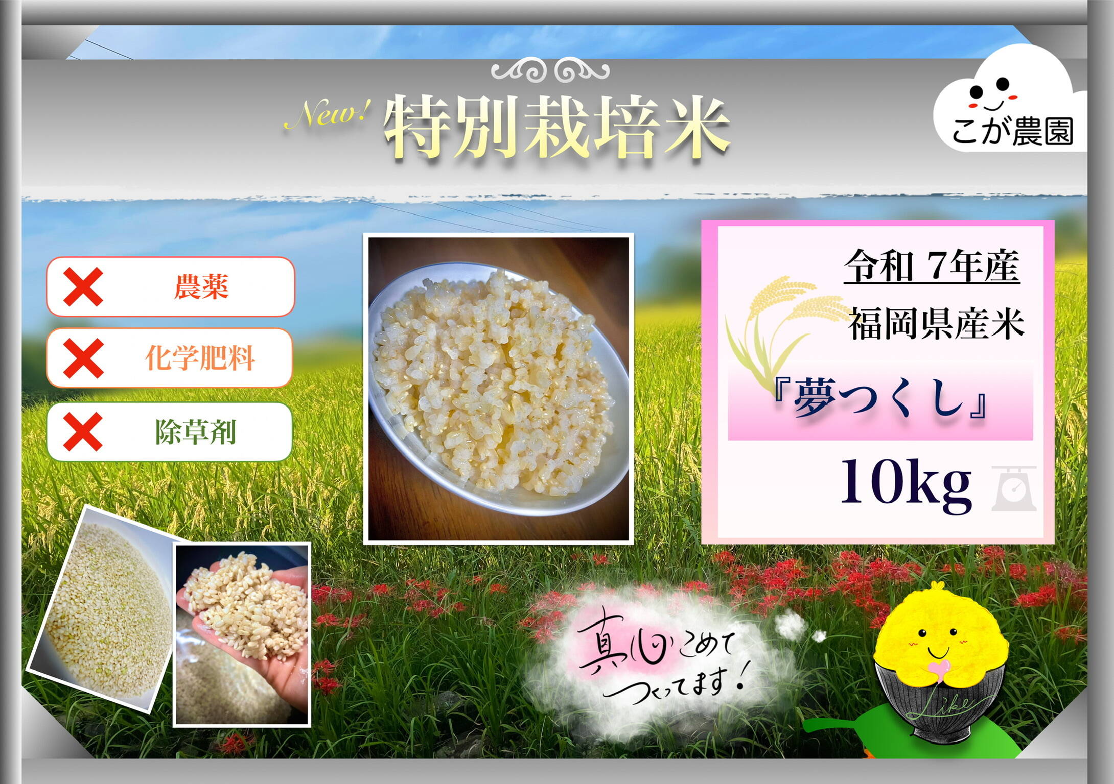 福岡県産米 玄米10kg 準自然米 大好評の福岡県産「夢つくし」令和7年産 玄米10kg
