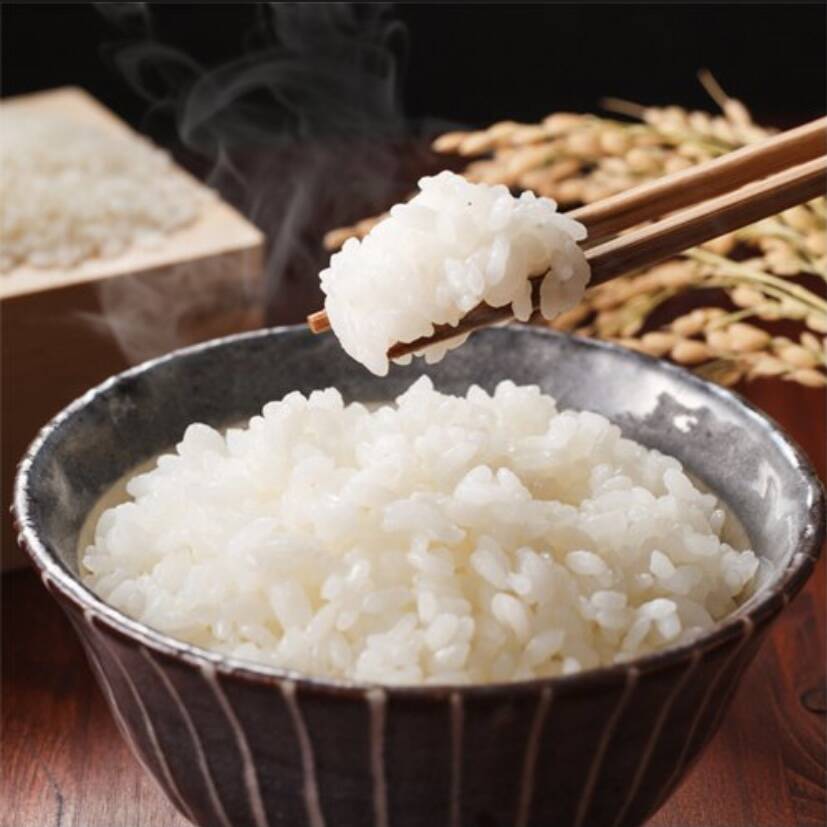 新潟県産 こしいぶき 無洗米 10キロ 令和5年産 お米 (musennmai