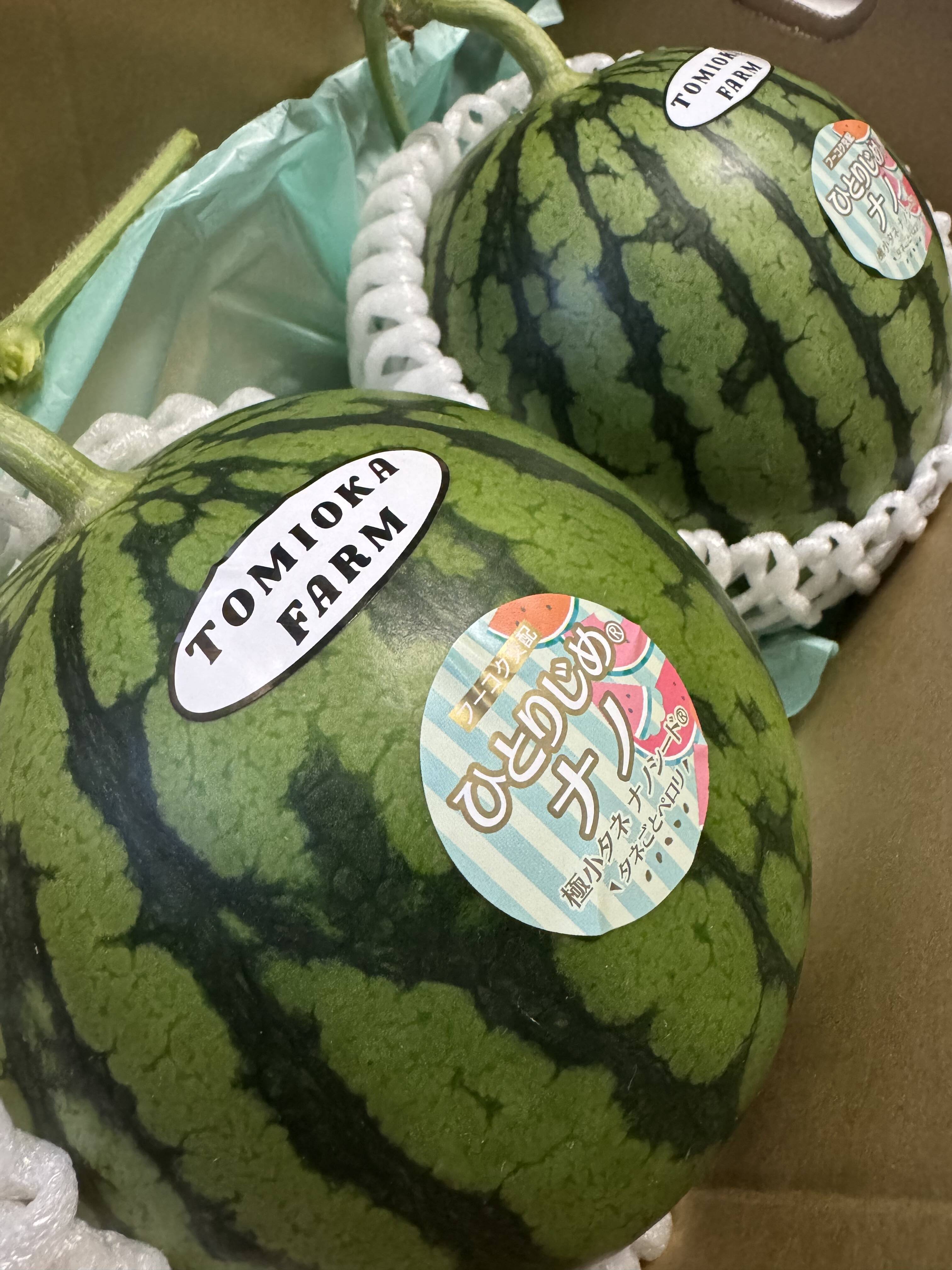 種ごと食べられる】小玉スイカ🍉ひとりじめナノ2玉セット：熊本県産の