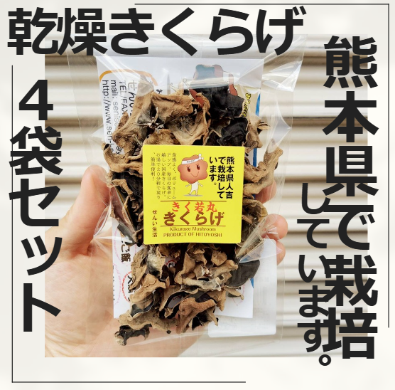 熊本県人吉産🐻4袋 x S20g 乾燥きくらげ たっぷり ポスト投函【20g×4袋