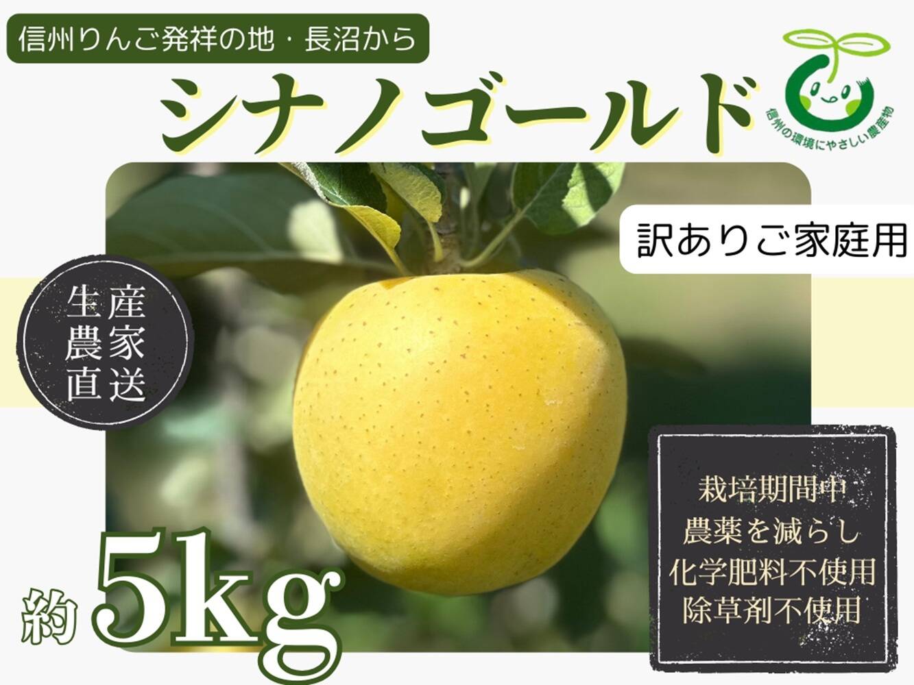 生産農家直送 りんご シナノゴールド 訳あり ご家庭用 5kg 長野県産