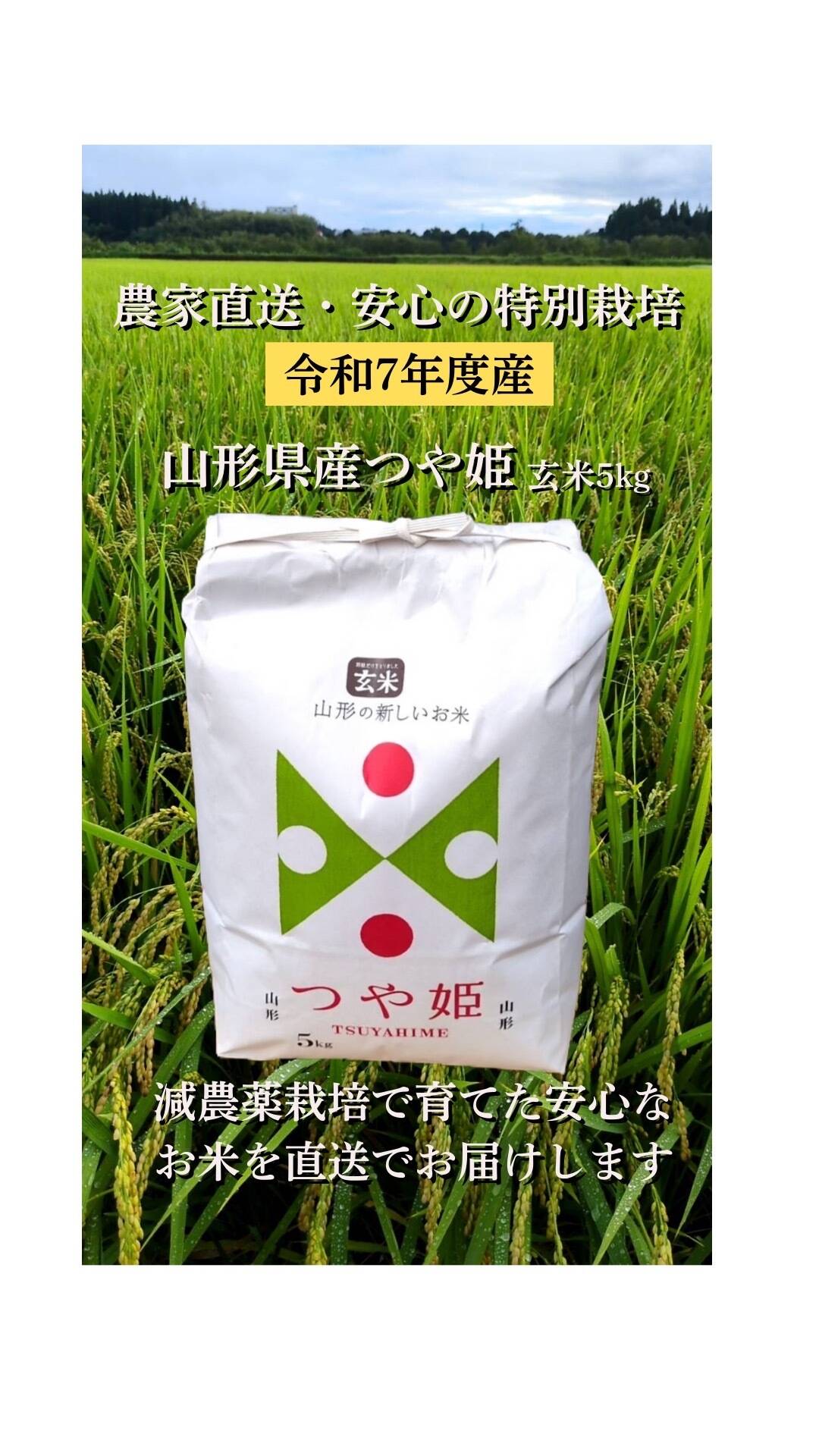 玄米　つや姫　山形県産　特別栽培米　5キロ2個 予約販売】受注精米 令和7年度産 新米 山形県産 最上級 1等米