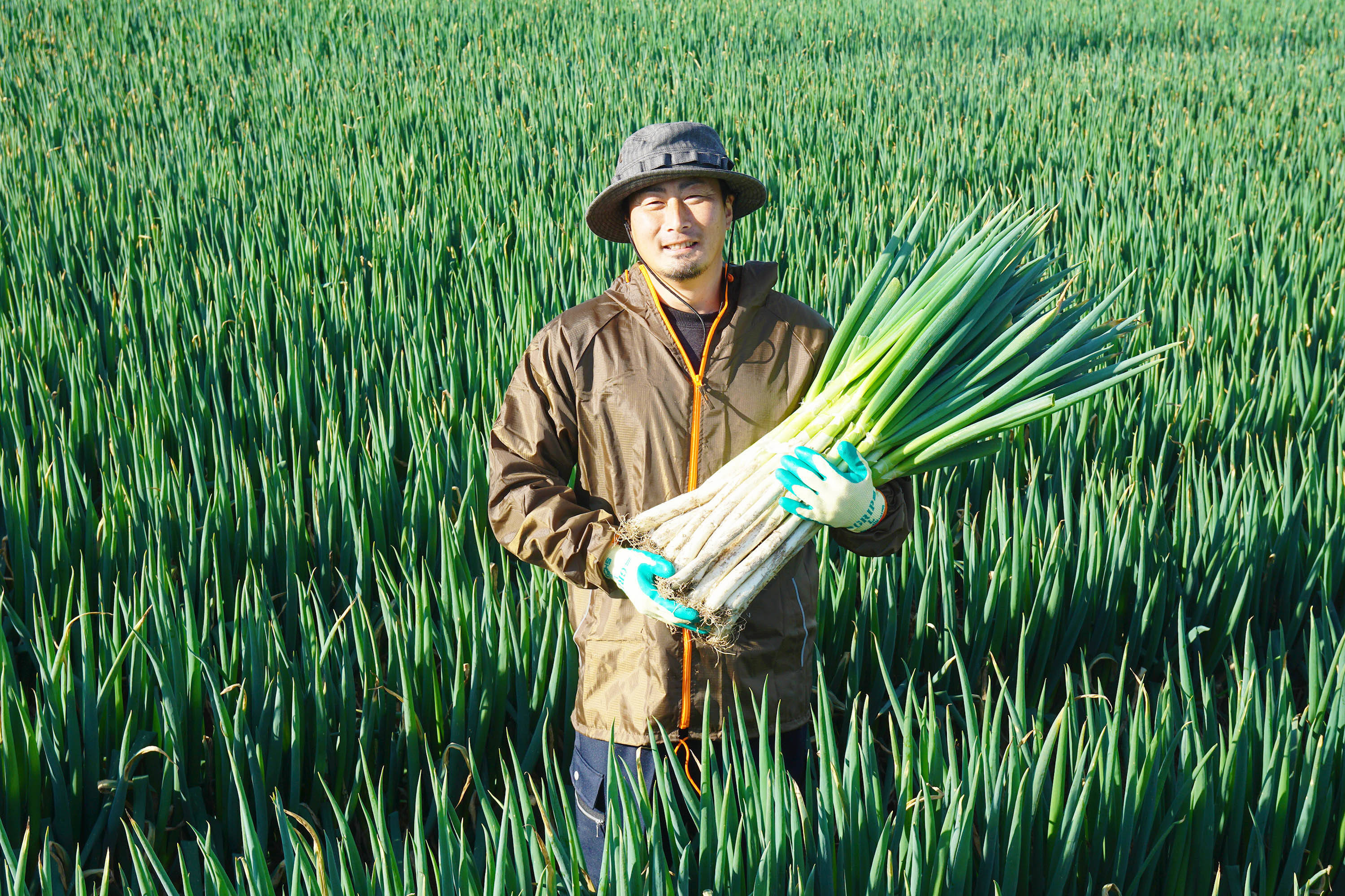 カマシチへのレビュー・商品：宮城県｜食べチョク｜産地直送(産直)お