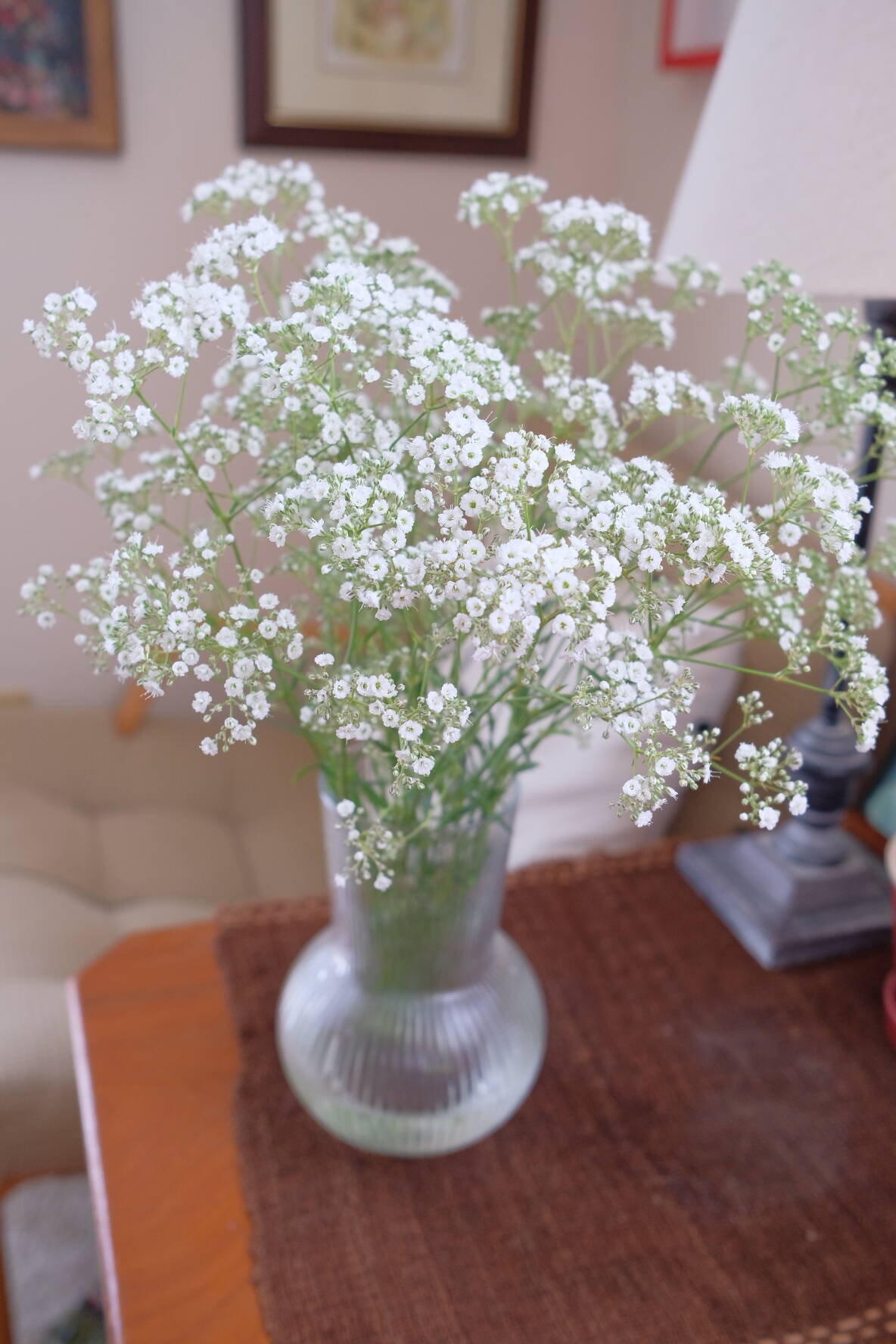 6月限定】かすみ草の花束（約15本）なくなり次第終了！：福島県産の