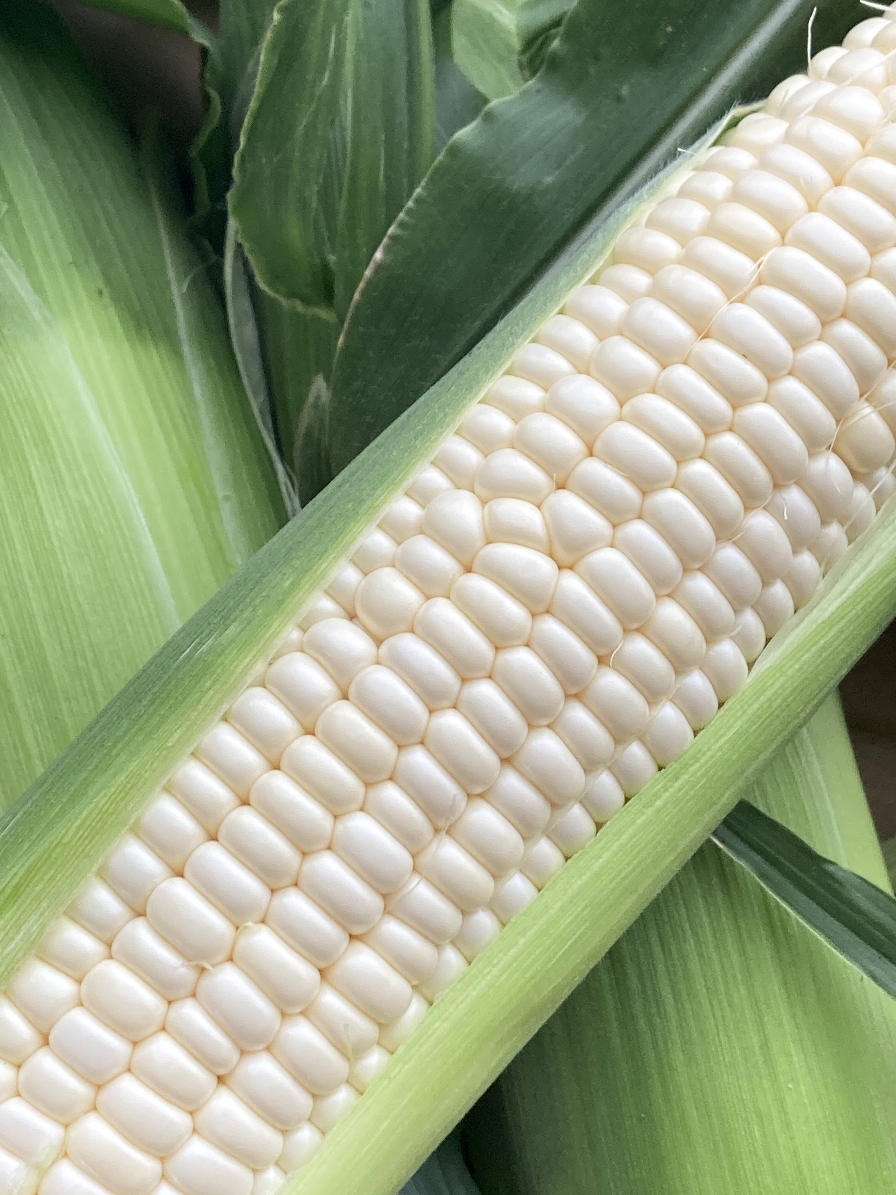 a105524431e1296a8b13a98394e2ad