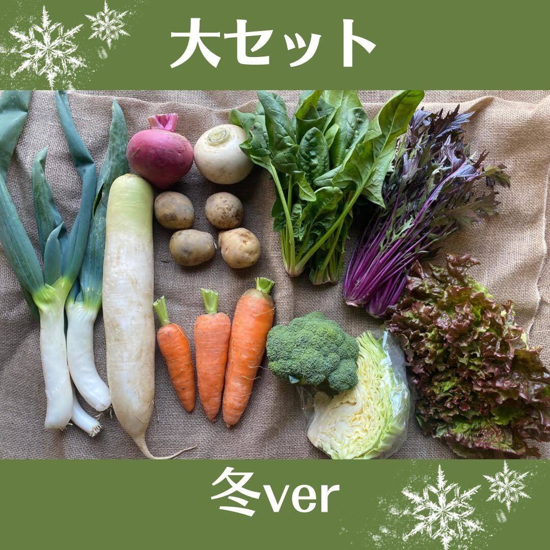 Mサイズ☆栽培期間中農薬不使用野菜セット（9-10品）愛知県