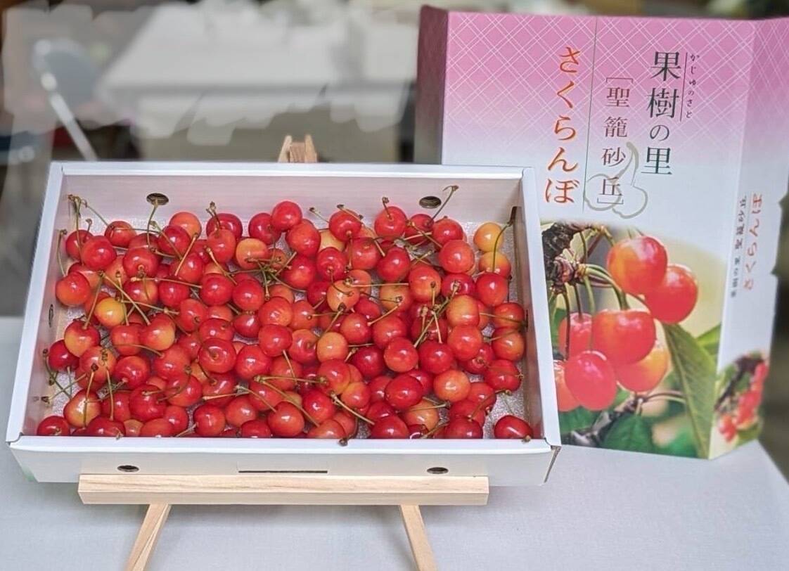 さくらんぼ【佐藤錦】1kg：新潟県産の佐藤錦｜食べチョク｜産地直送