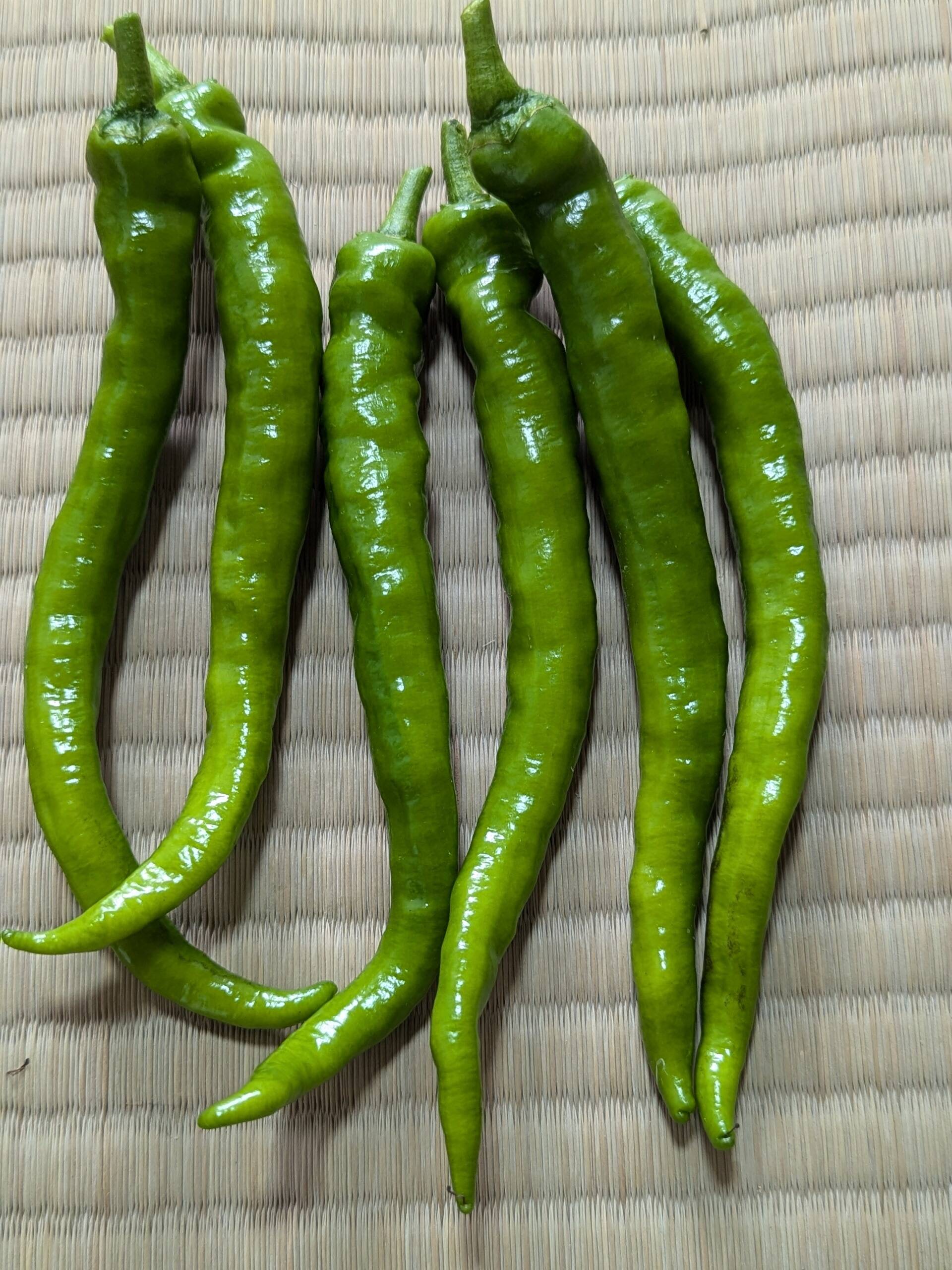 唐辛子 おいしい唐辛子 辛八房 粗挽 - 唐辛子 販売 坂本農園｜奈良県宇陀市