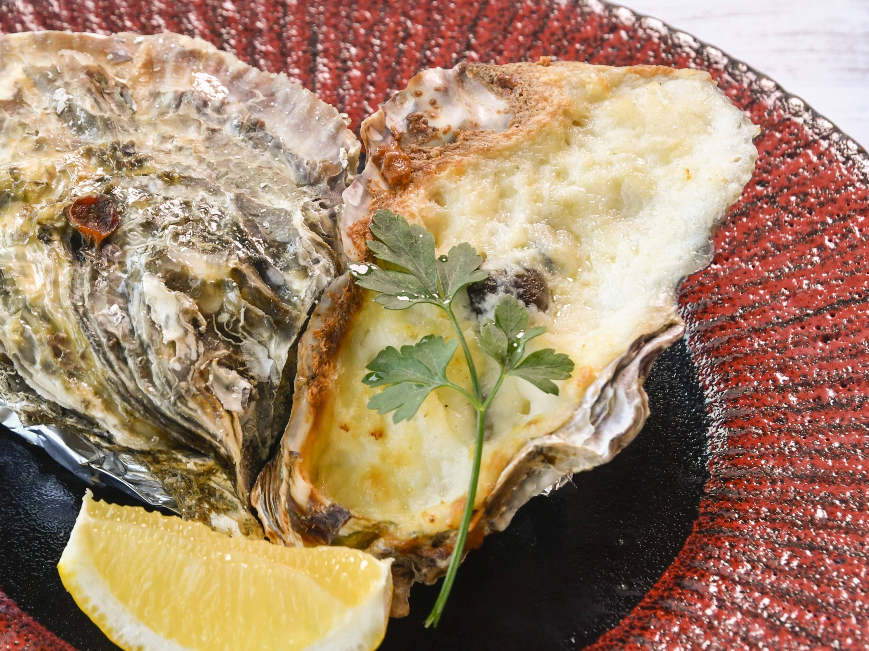 a1513e41e399516ddea349ab42496c