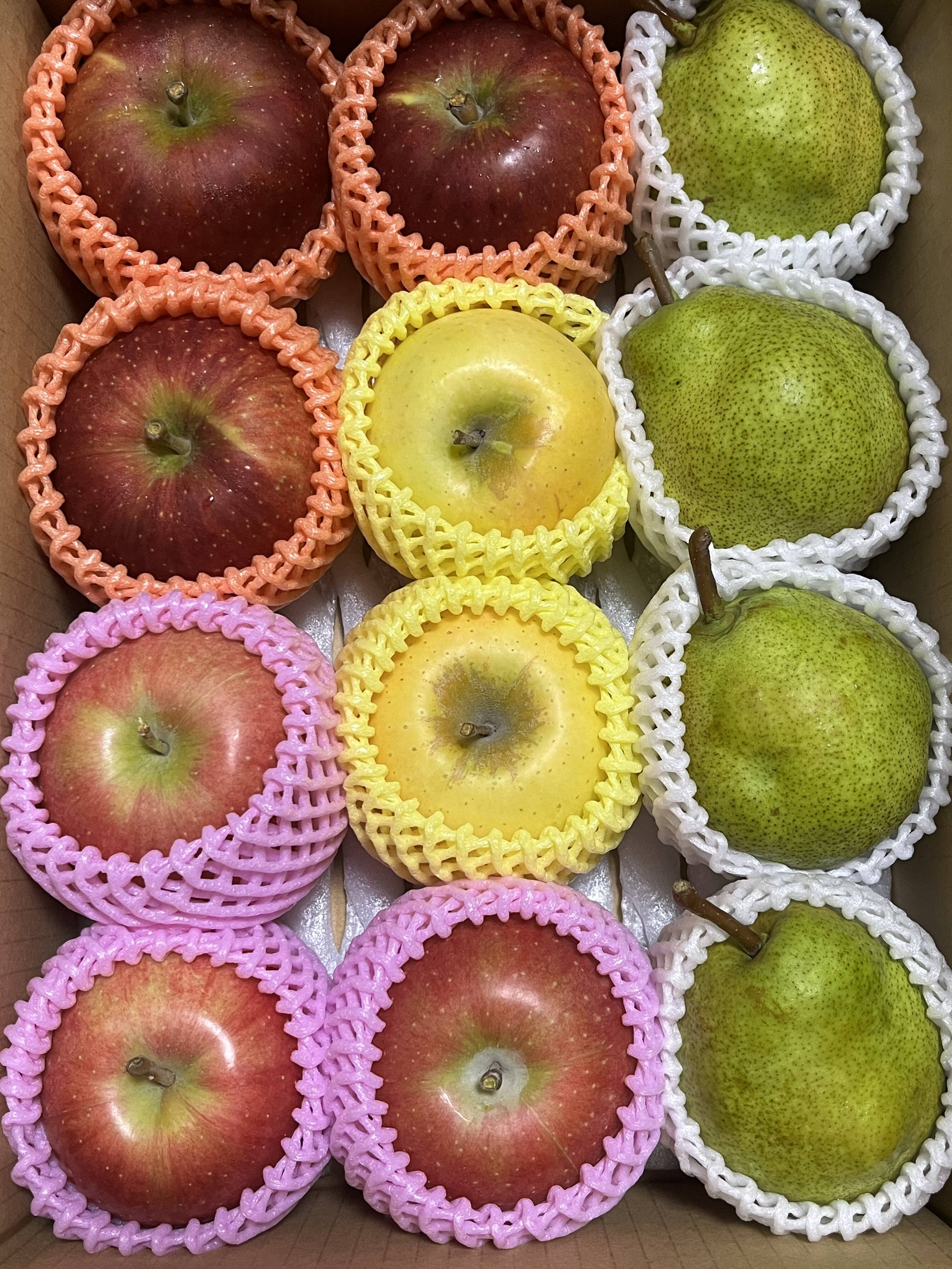 近日中発送！りんご ラフランス 詰合せ 約3kg フルーツボックス