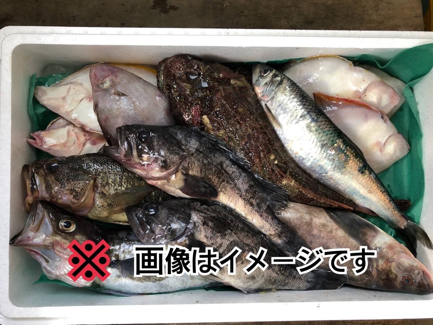 知床羅臼直送】未利用魚ボックス8kg詰 (梅コース) 海鮮セット