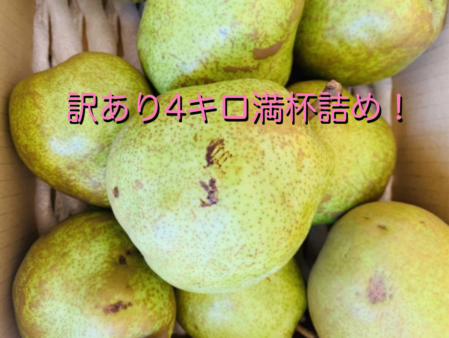 訳あり】山形特産ラフランス【4キロ満杯詰め】：山形県産の洋梨｜食べチョク｜産地直送(産直)お取り寄せ通販 - 農家・漁師から旬の食材を直送