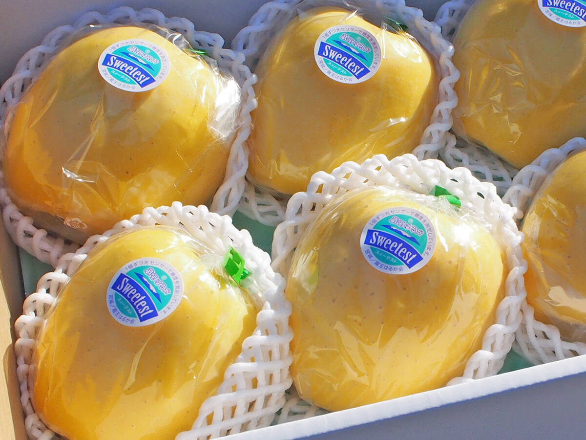 a1789215bf95f7ab87e2d2cb103c87