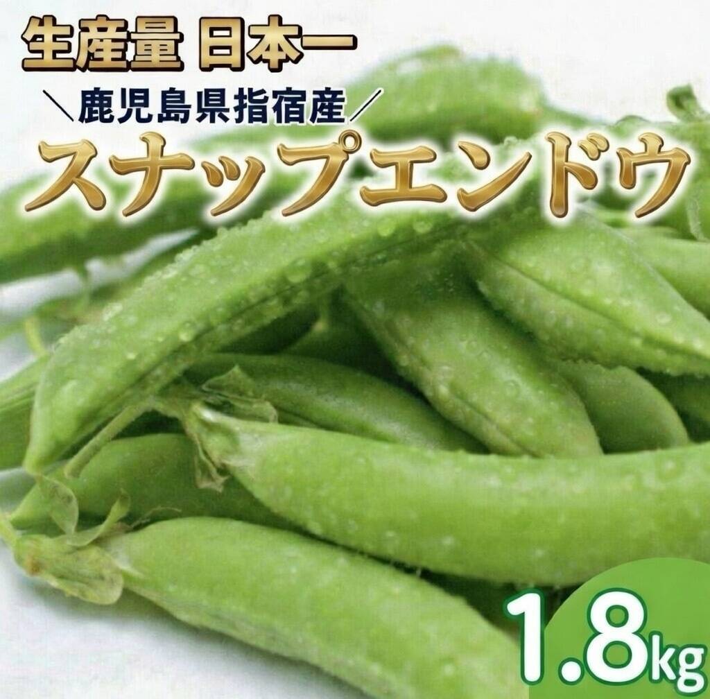 朝採れ 鹿児島県指宿産 スナップエンドウ 1.8kg（鹿児島県指宿市産