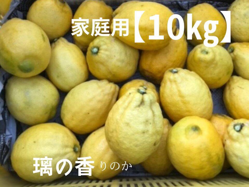 家庭用 璃の香 国産レモン 瀬戸内産 10㎏：愛媛県産のみかん・柑橘類｜食べチョク｜産地直送(産直)お取り寄せ通販 - 農家・漁師から旬の食材を直送