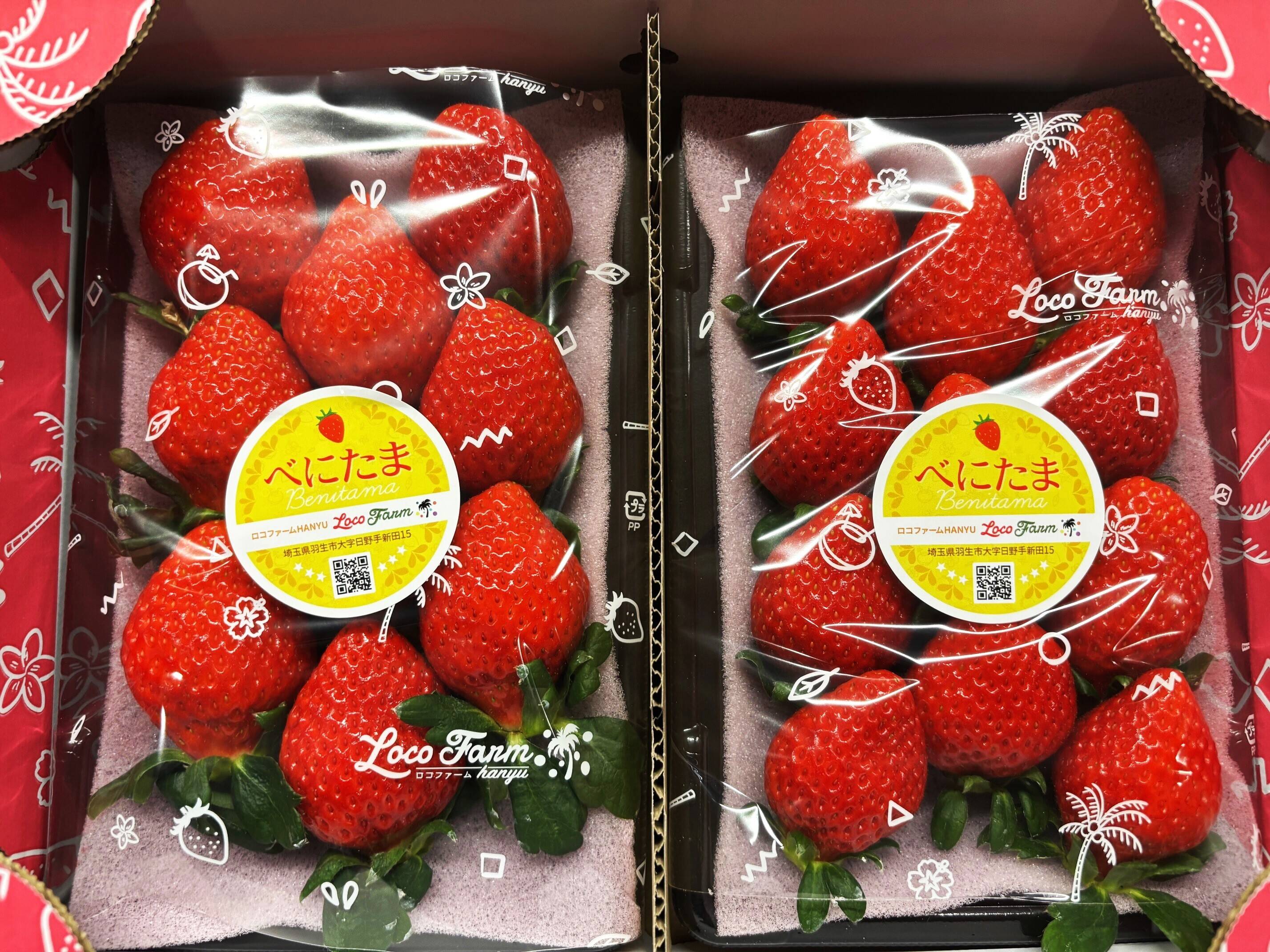 a1b3aa2d462e26475b5b10b79a5886