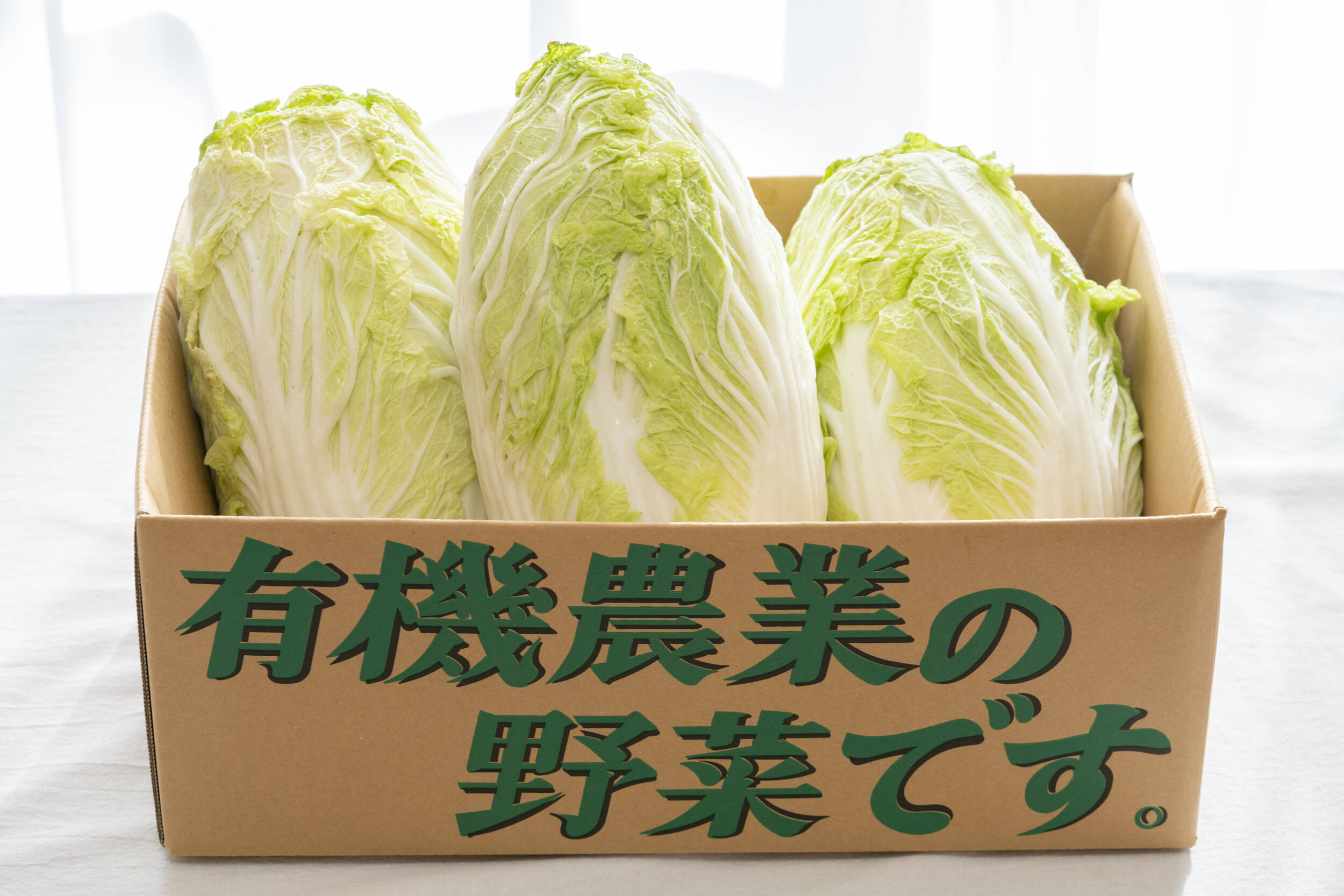 HOT限定セール無農薬野菜　白菜(S)　　　80サイズ 野菜