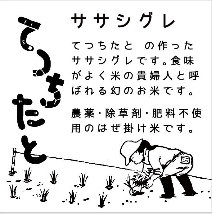 『令和5年産』ササシグレ玄米5㎏　農薬除草剤肥料不使用はぜ掛け米　力強さを味わえる！淡泊ながらも飽きない米の貴婦人