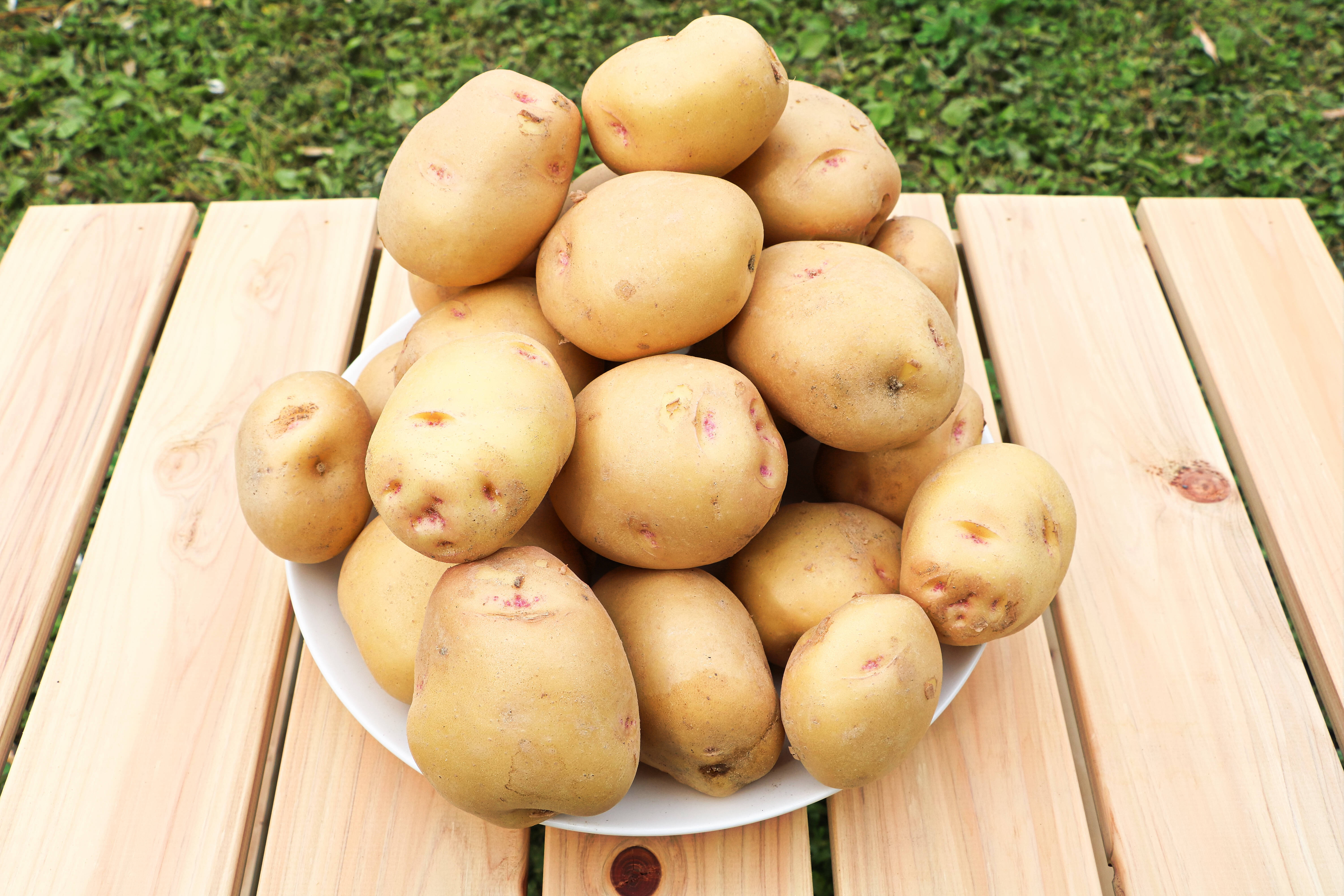 新じゃがいも【キタアカリ】3kg/箱 アルギット農法（Lサイズ以上